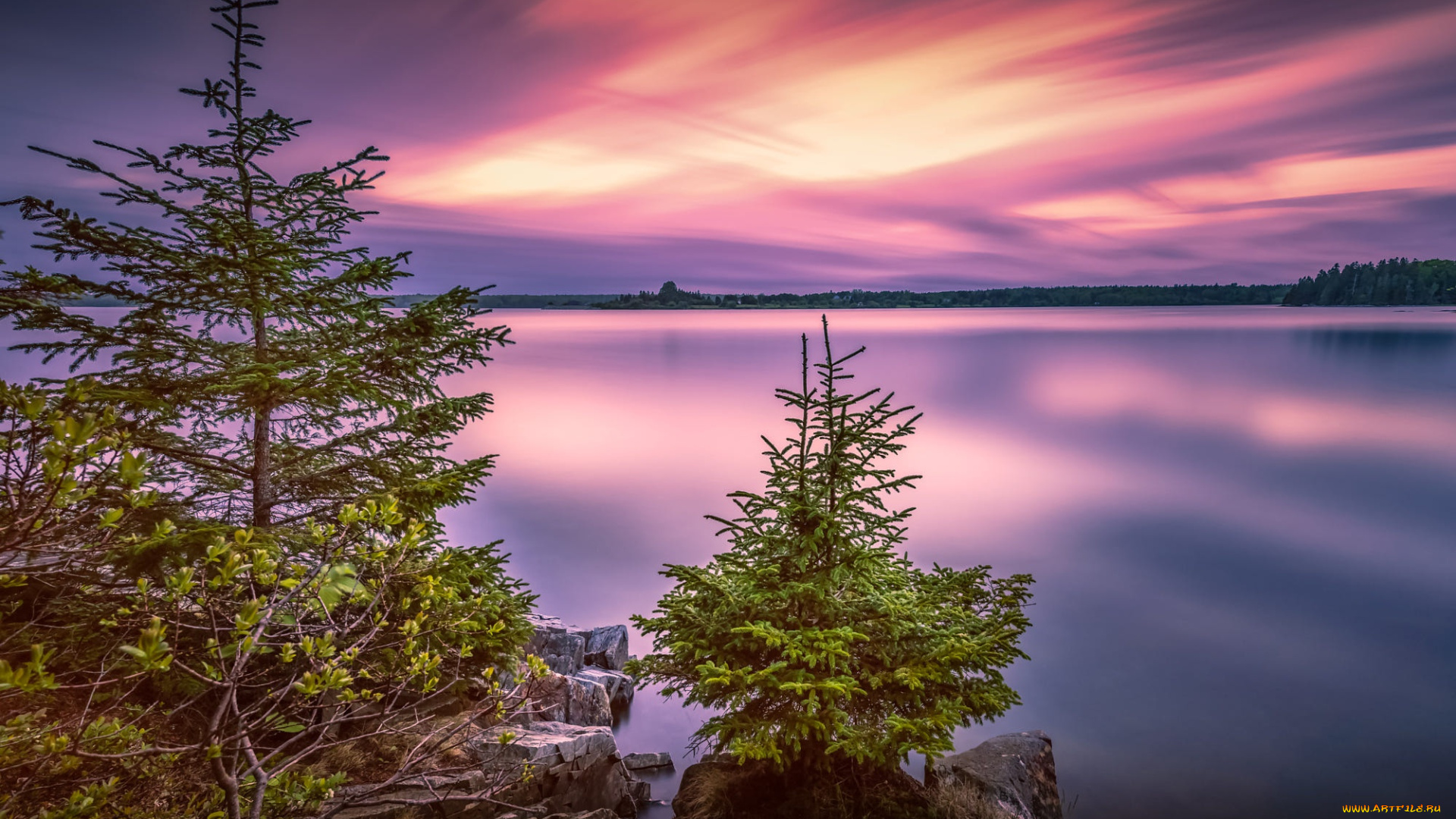 красота, да, ляпота, природа, пейзажи, деревья, пейзаж, закат, озеро, камни, сша, национальный, парк, ёлочки, acadia, national, park, акадия, bar, harbor