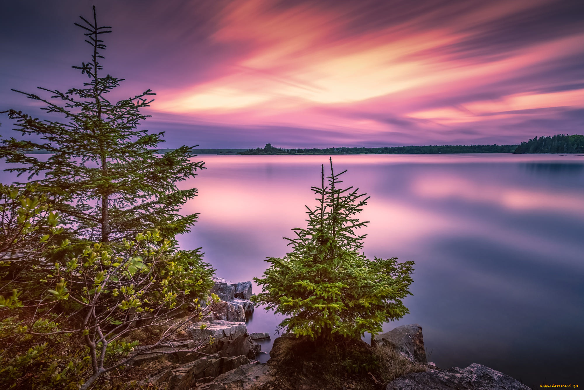 красота, да, ляпота, природа, пейзажи, деревья, пейзаж, закат, озеро, камни, сша, национальный, парк, ёлочки, acadia, national, park, акадия, bar, harbor