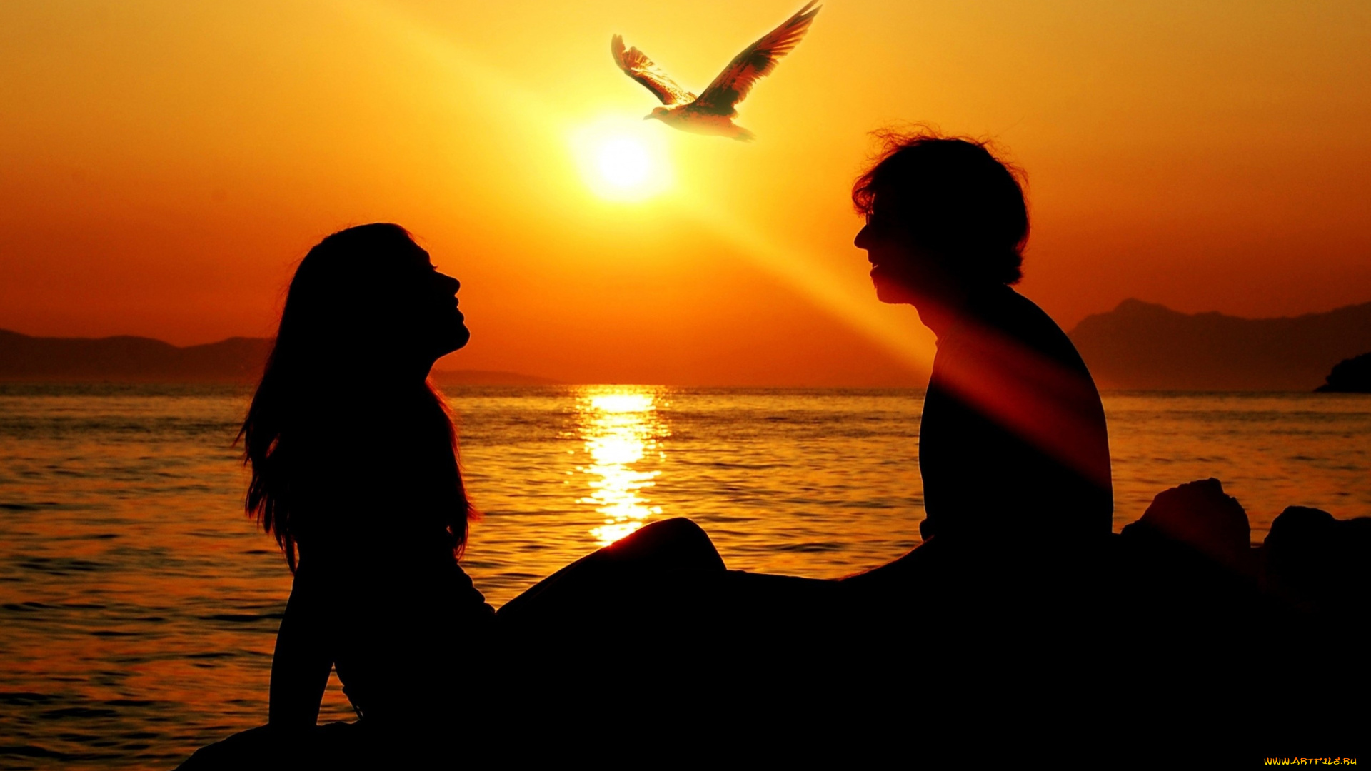 разное, мужчина, женщина, пара, закат, море, птица, силуэты