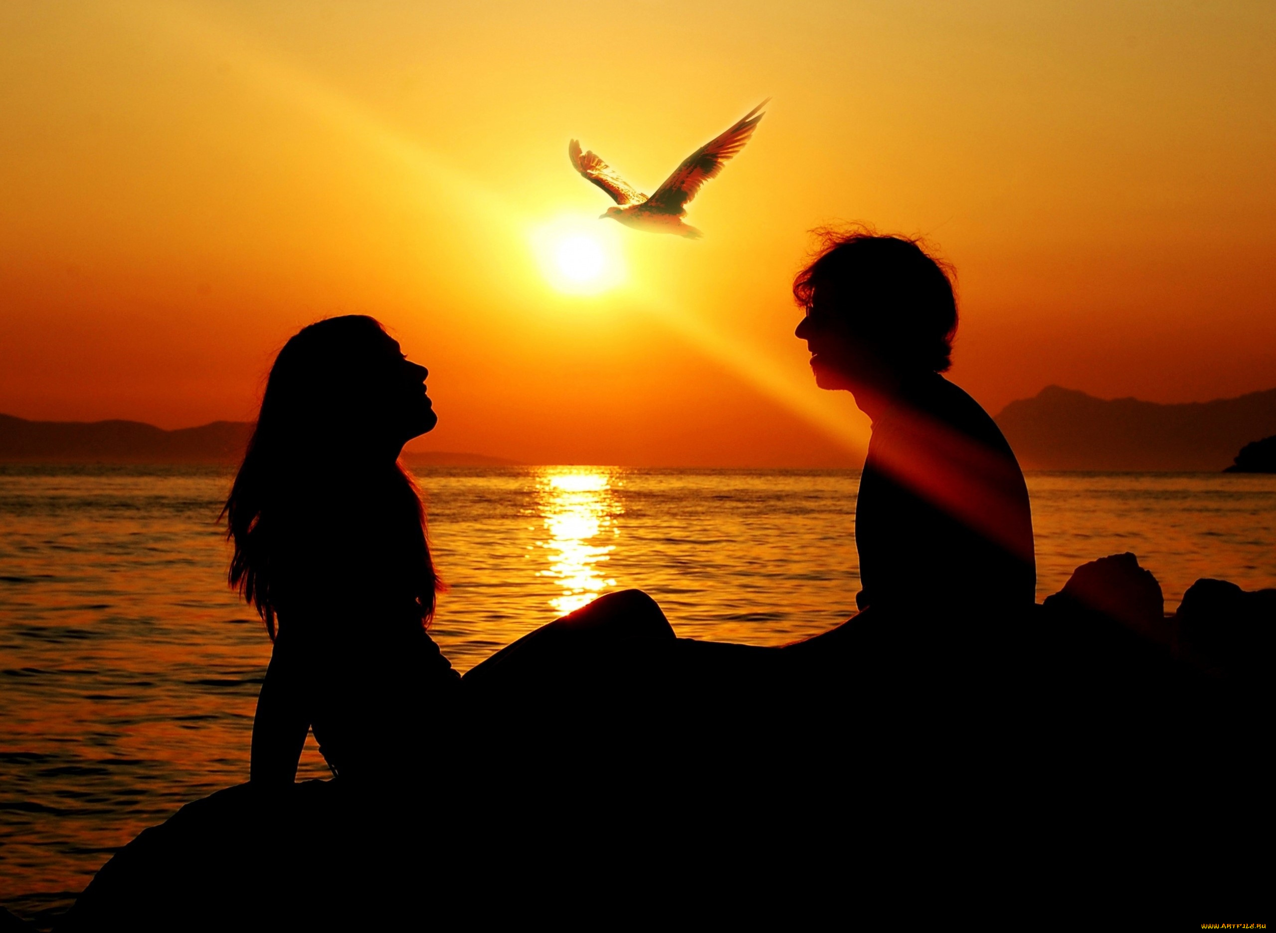 разное, мужчина, женщина, пара, закат, море, птица, силуэты