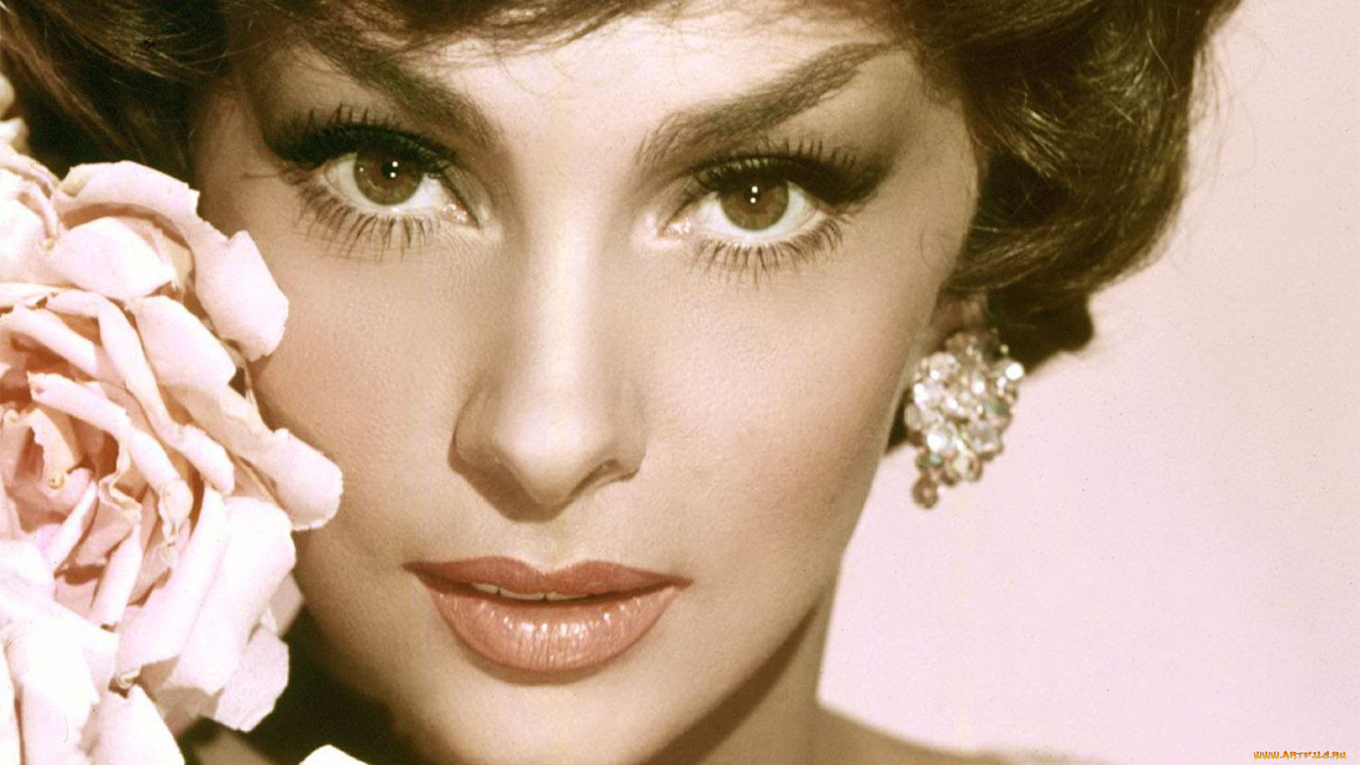 gina, lollobrigida, девушки, gina, lollobrigida, лицо, модель, актриса, девушка, красотка, макияж, взгляд, цветы, сексуальная