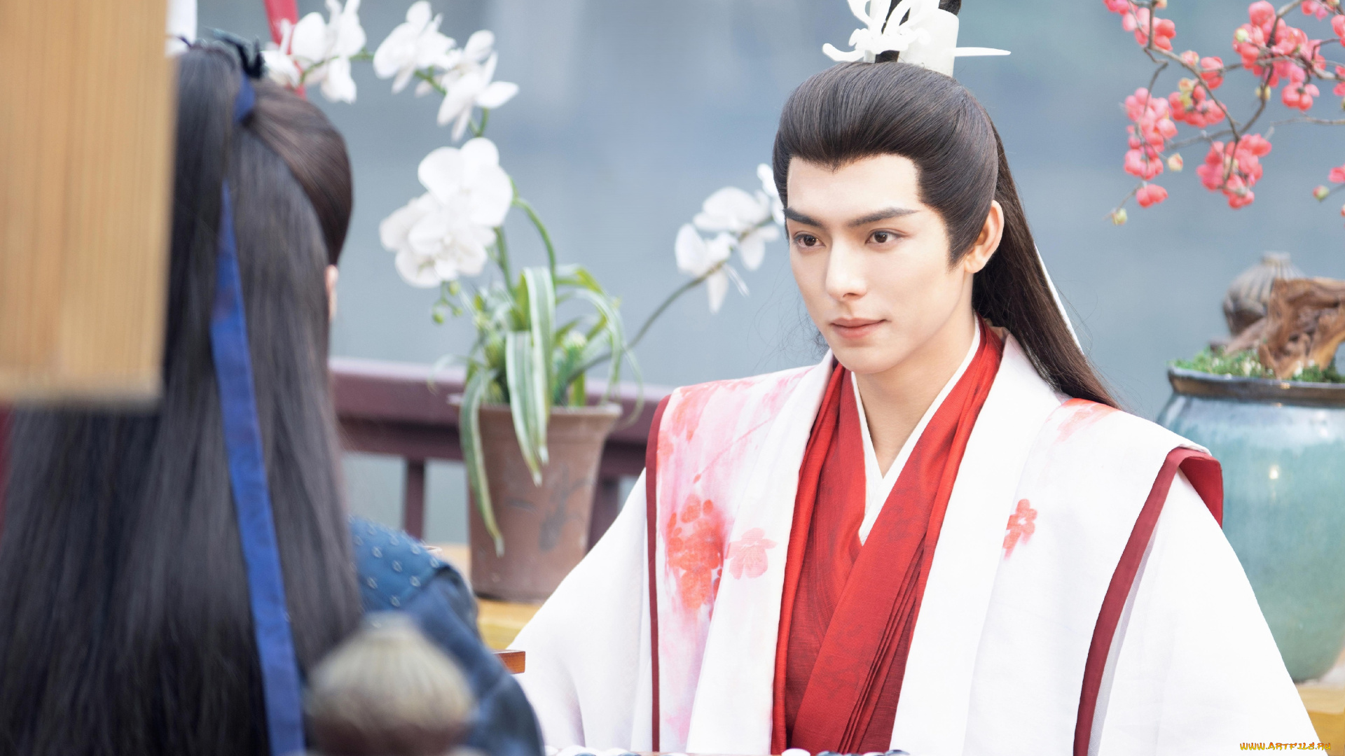 кино, фильмы, love, of, petals, ван, хао, сюань, love, of, petals