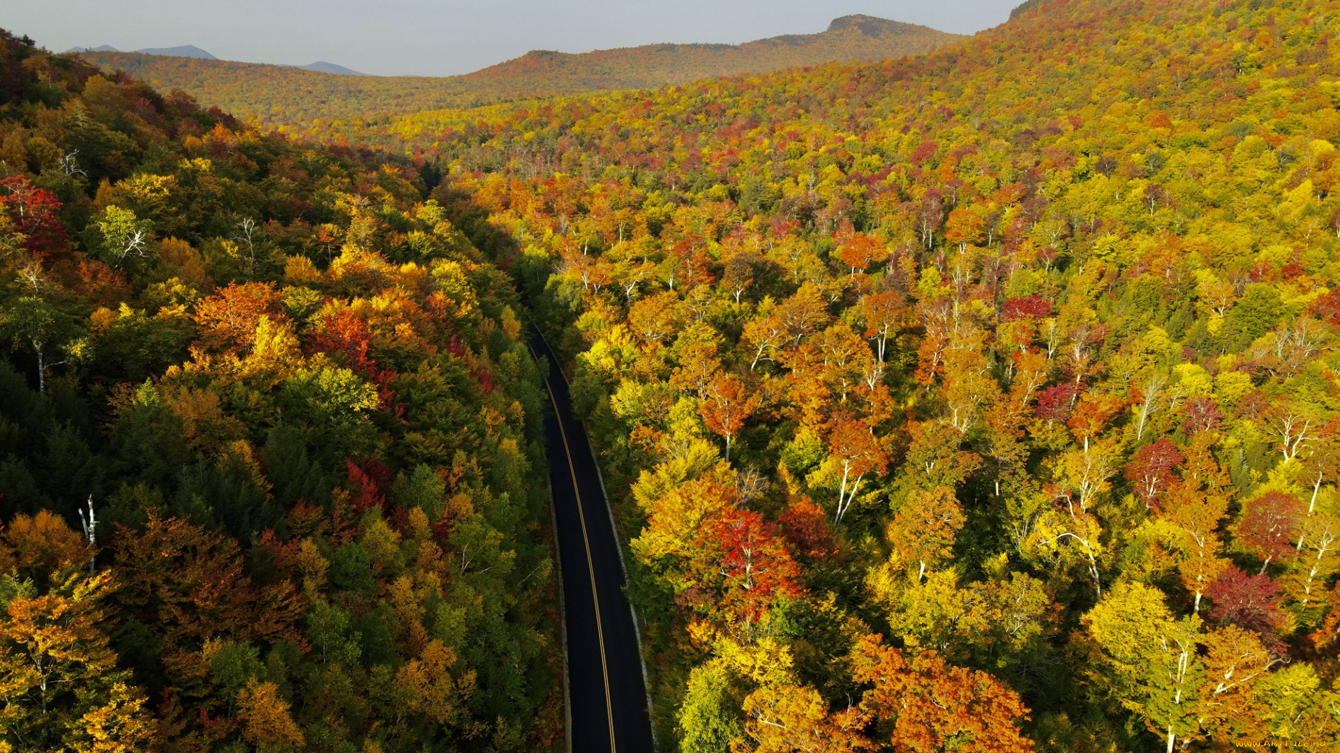 красиво, природа, дороги, осень, краски, холмы, лес, дорога