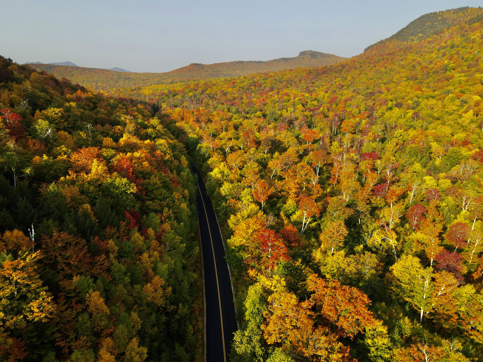 красиво, природа, дороги, осень, краски, холмы, лес, дорога