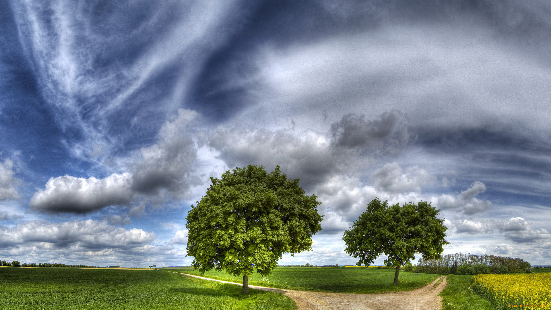 природа, дороги