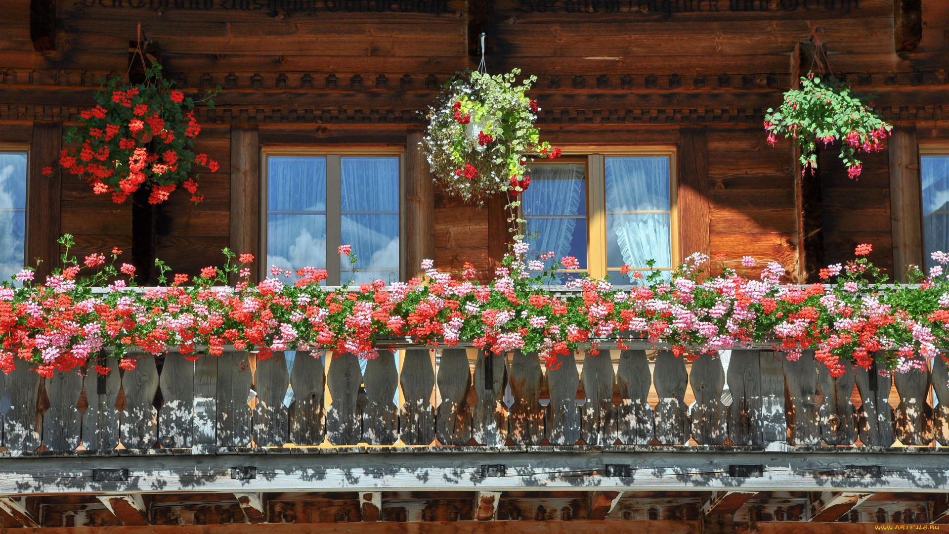 цветы, разные, вместе