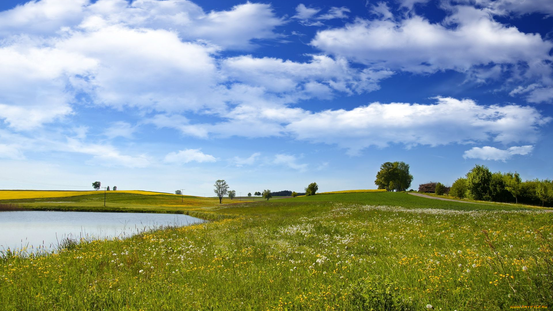 природа, луга