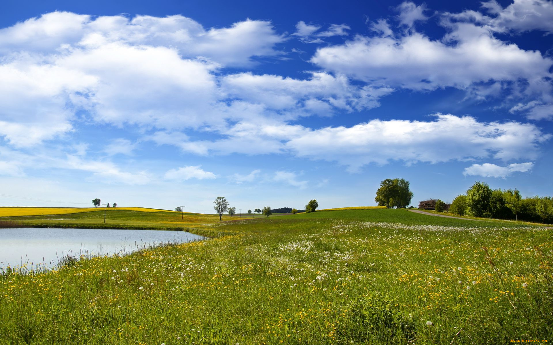 природа, луга