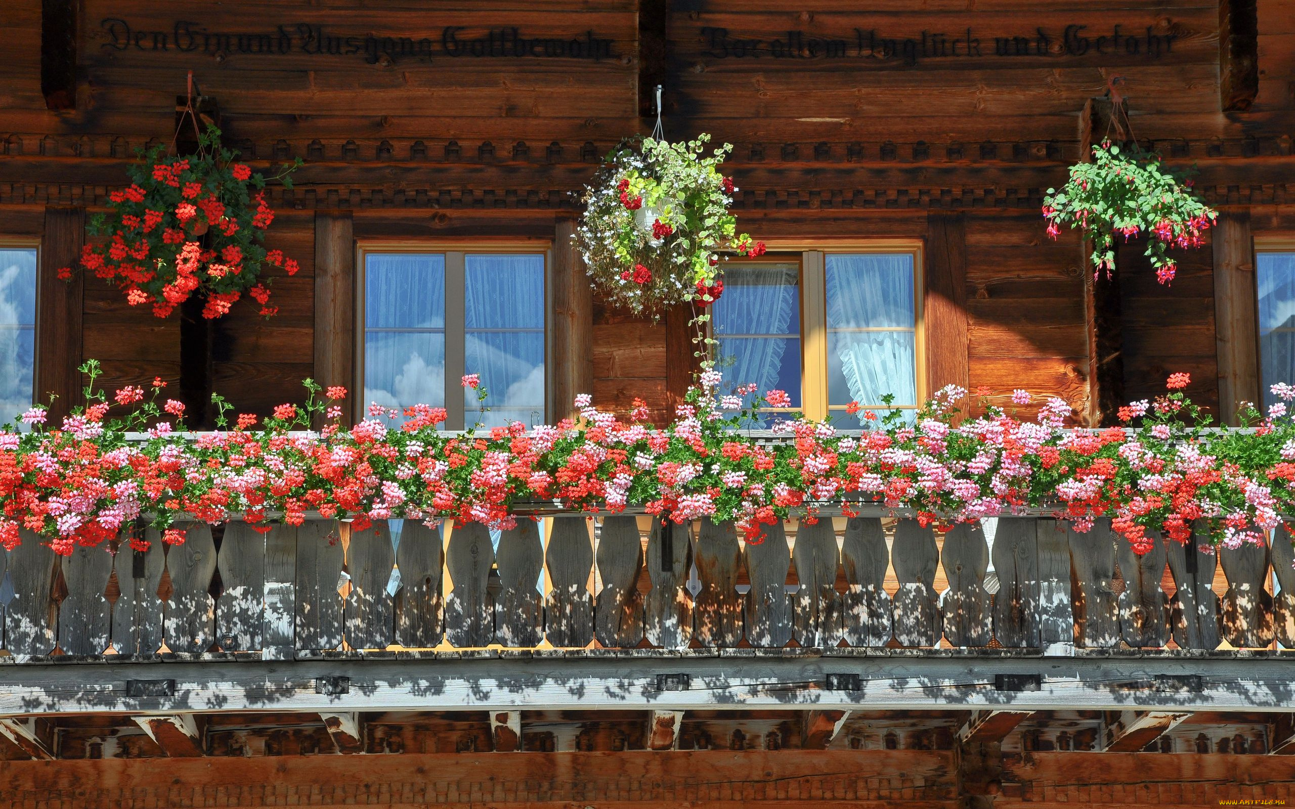 цветы, разные, вместе