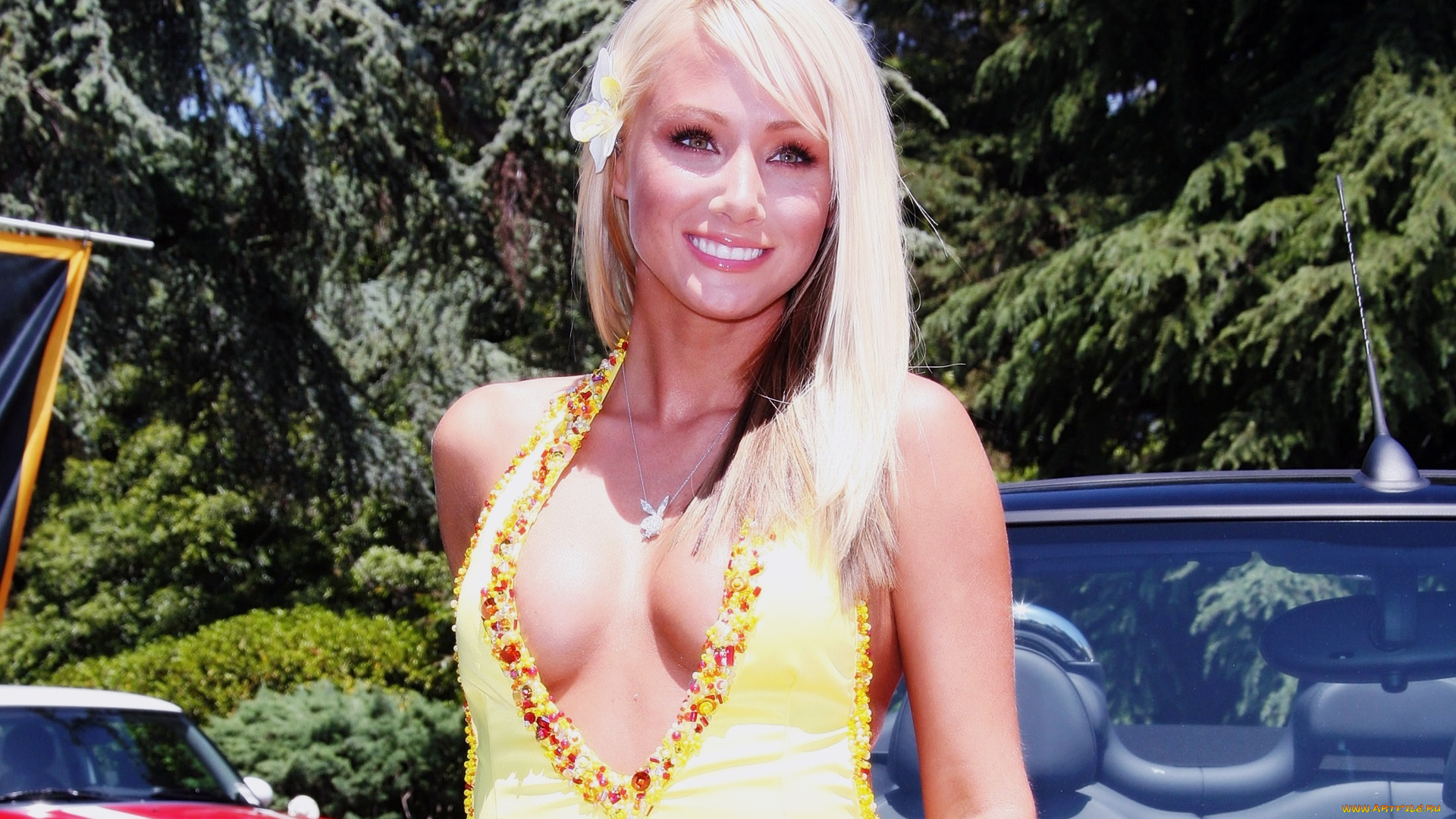 Sara, Jean, Underwood, девушки, , , , декольте