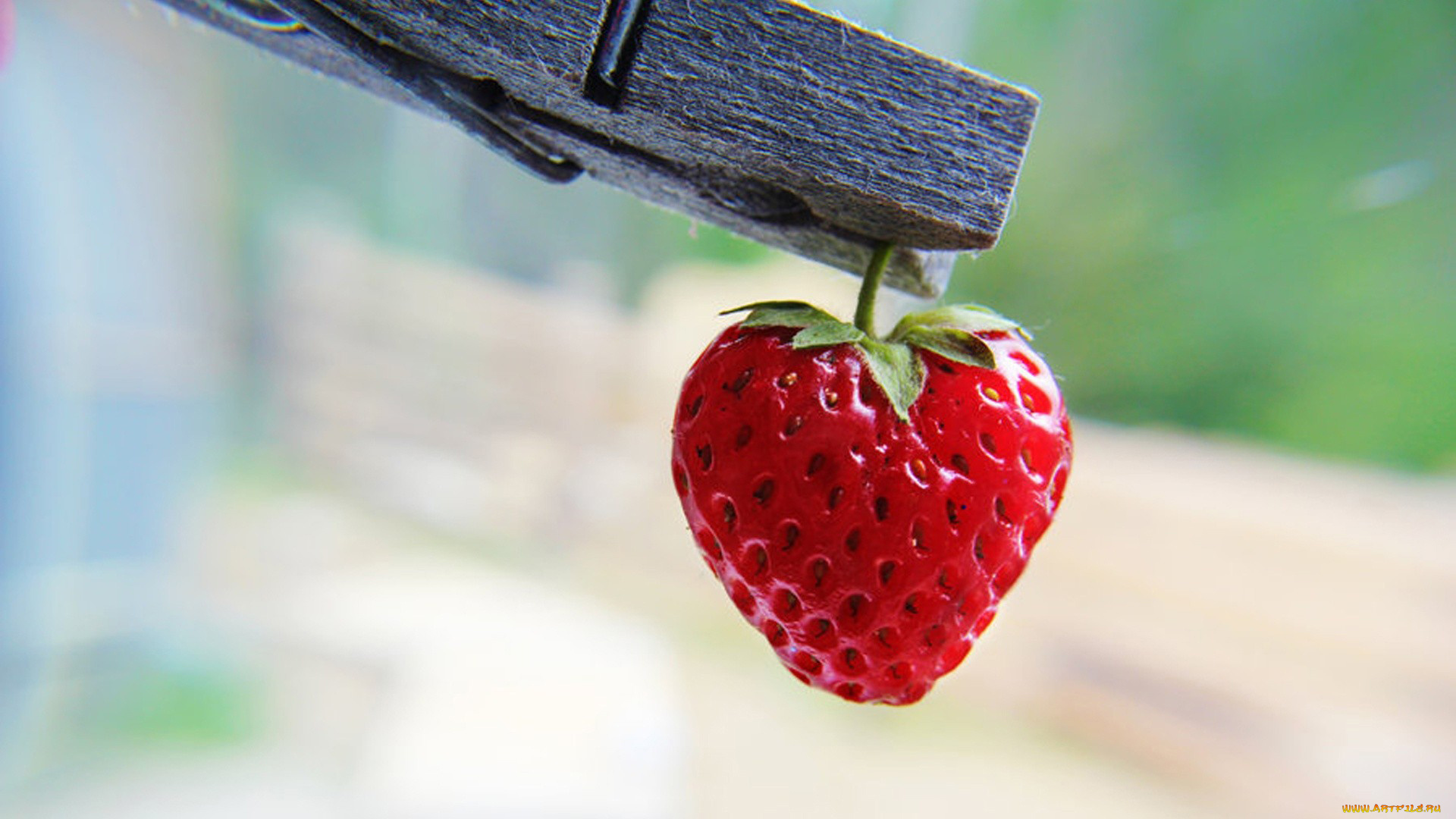 еда, клубника, земляника, прищепка, ягода