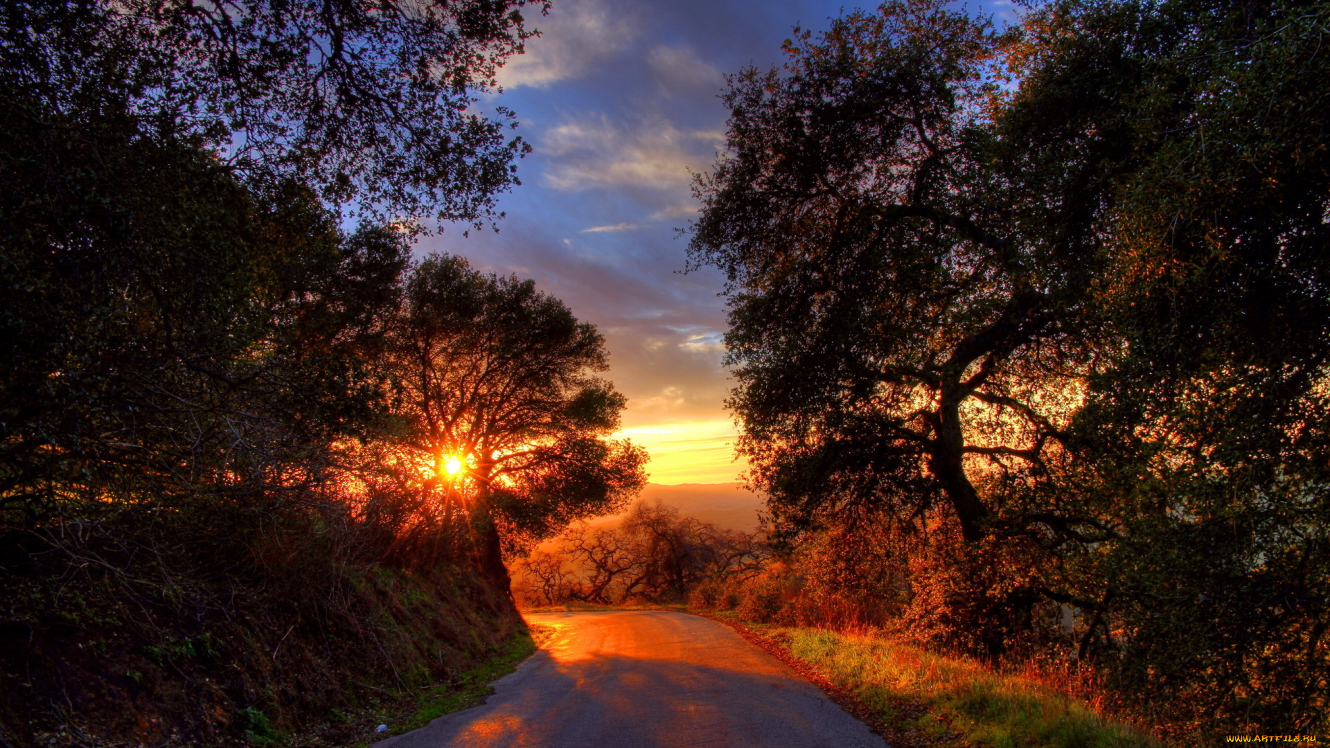 природа, дороги, лес, закат, дорога