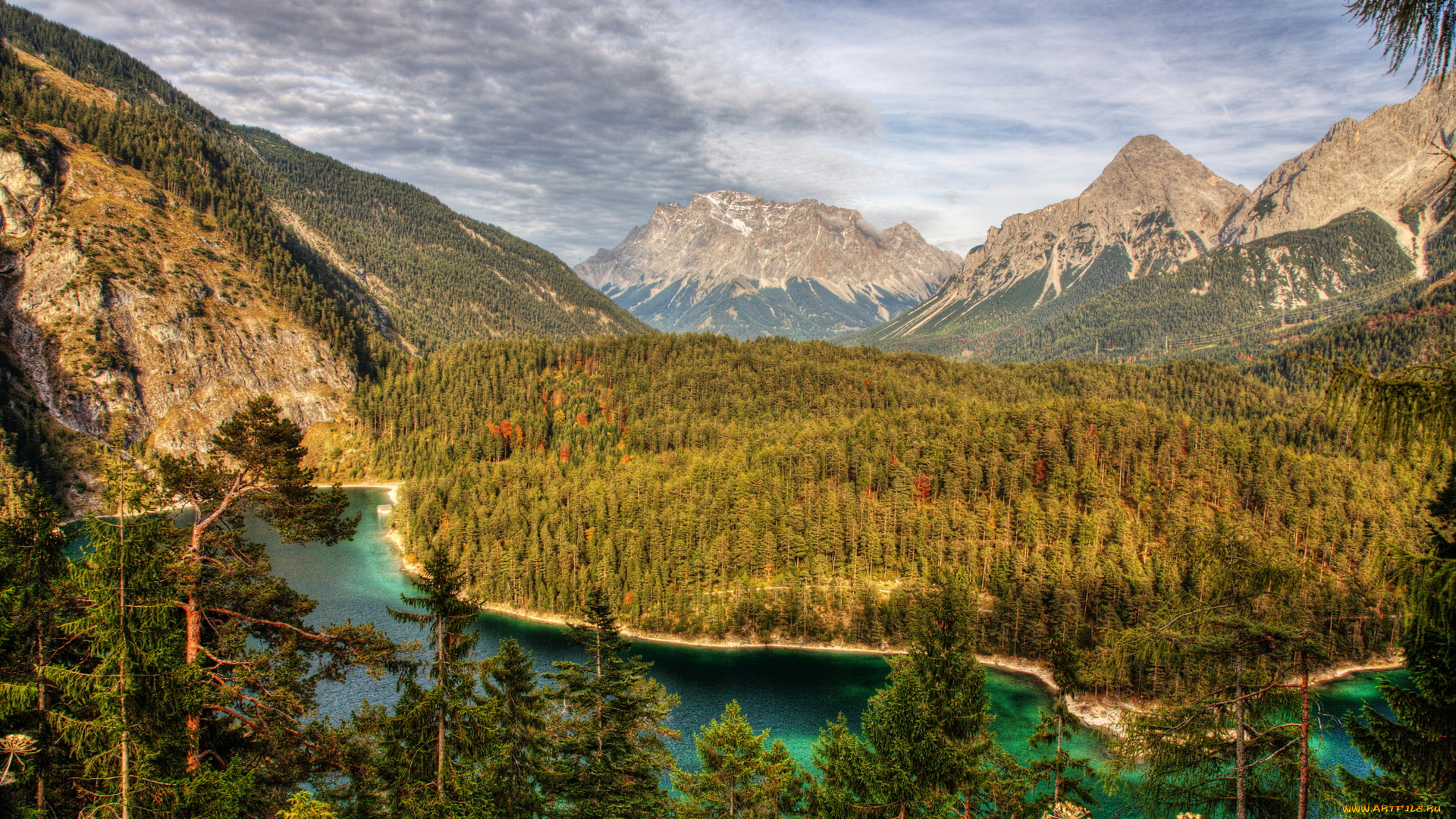 природа, пейзажи, лес, река