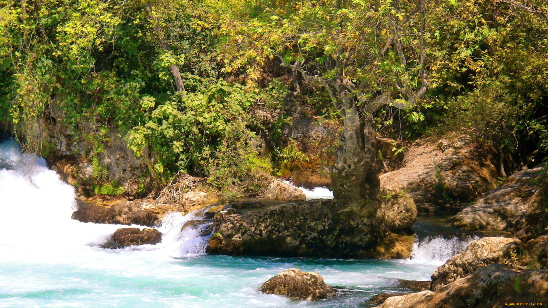 природа, реки, озера, листья, хорошая, погода, деревья, растения, водопад, скалы, вода