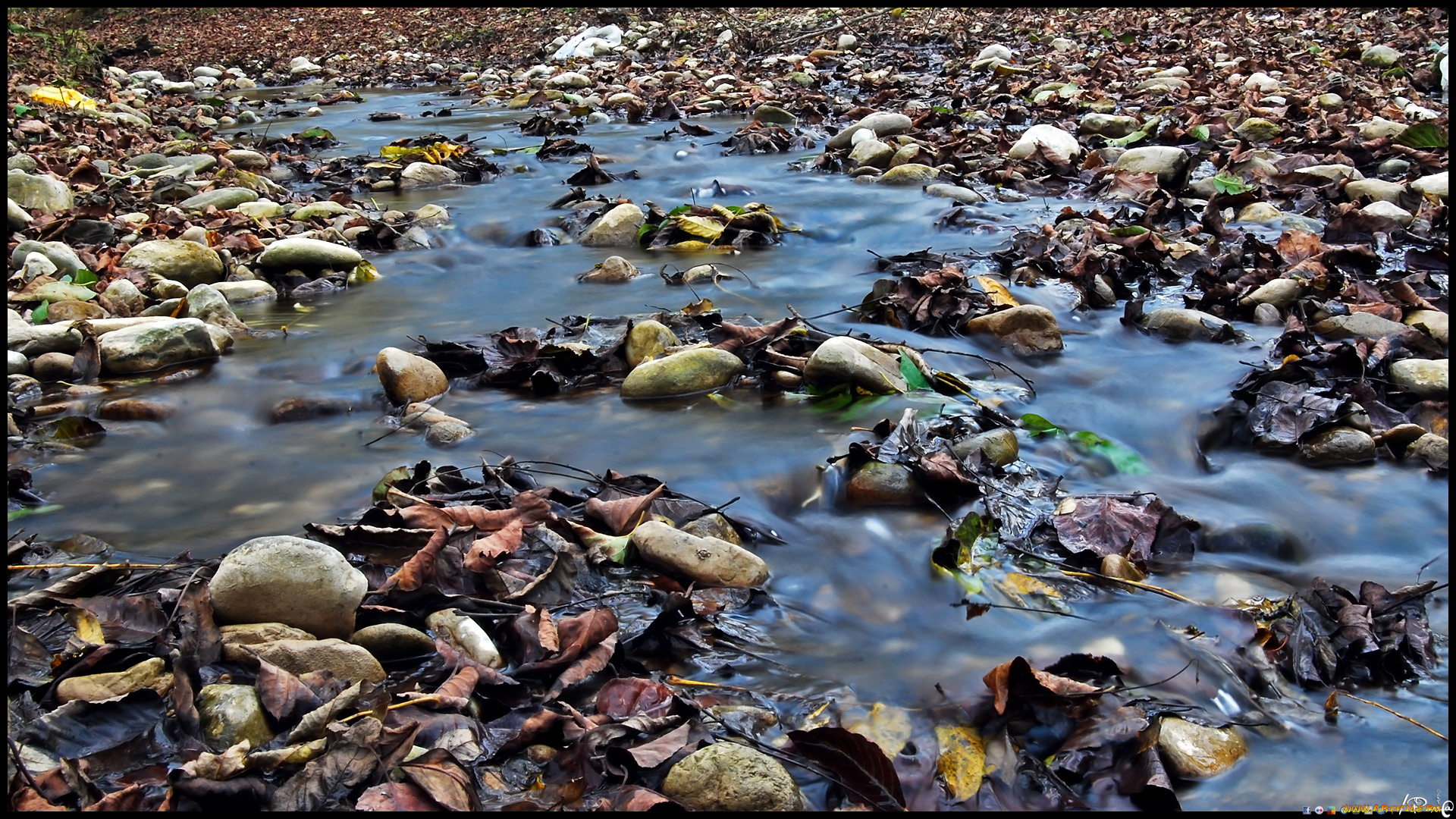 природа, реки, озера, ручей, камни