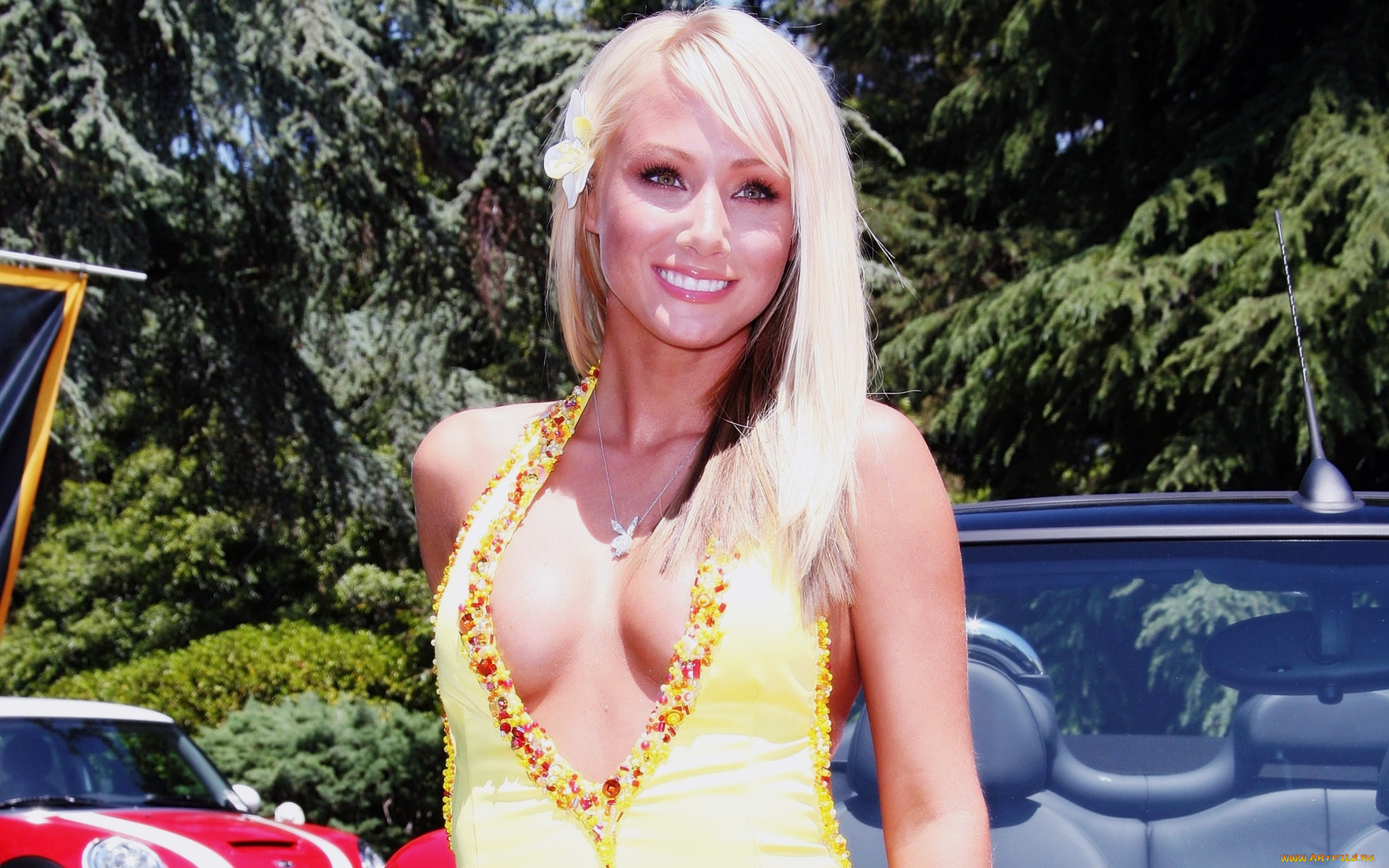 Sara, Jean, Underwood, девушки, , , , декольте