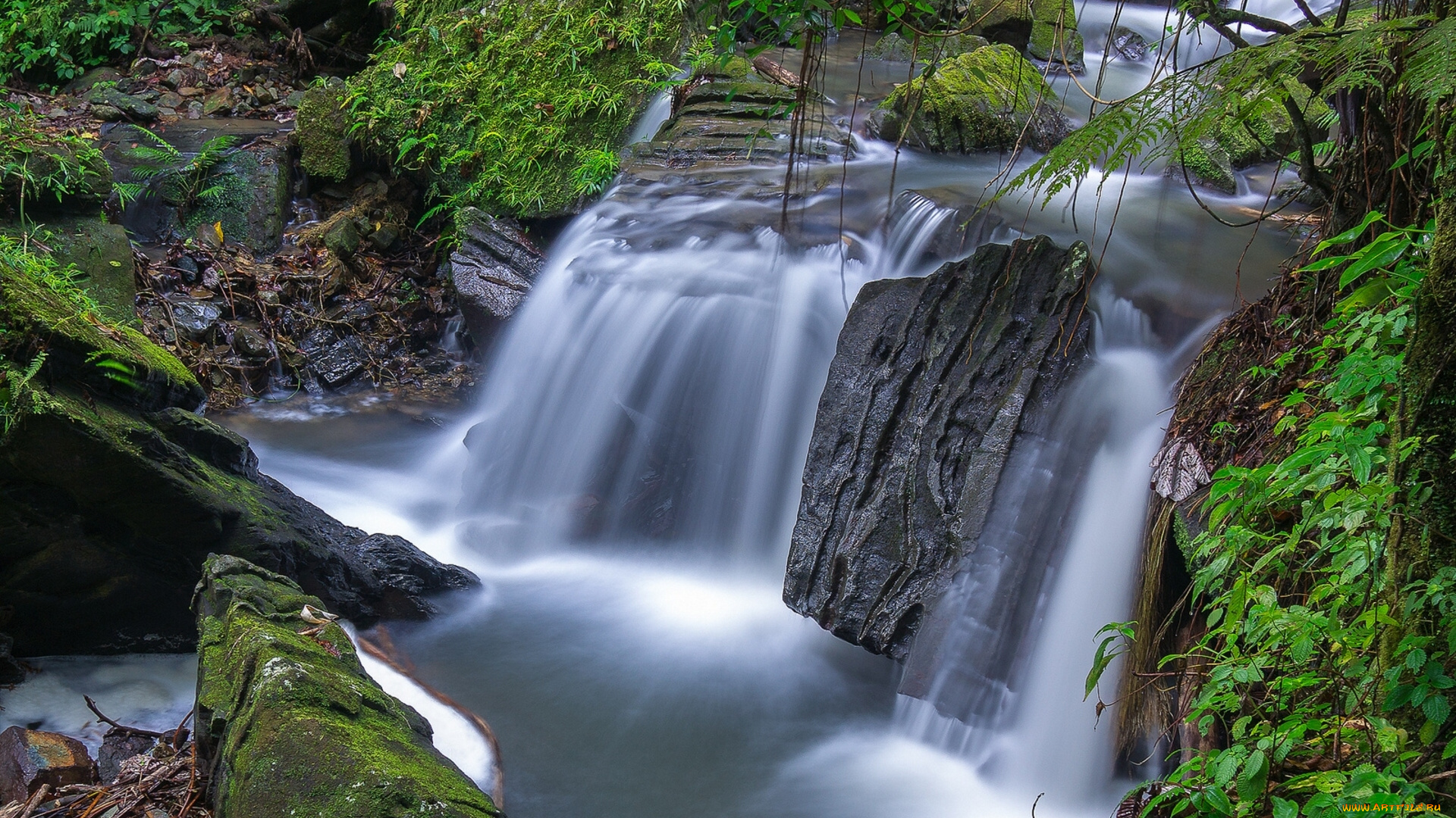 el, yunque, national, forest, puerto, rico, природа, водопады, национальный, заповедник, эль, юнке, пуэрто-рико, лес, камни