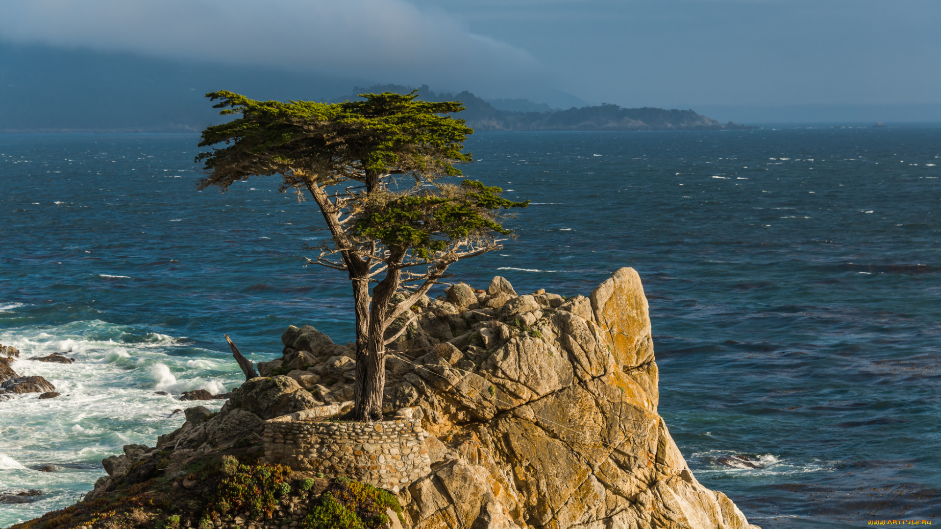 lone, cypress, monterey, peninsula, california, природа, деревья, pacific, монтерей, калифорния, кипарис, скала, тихий, океан