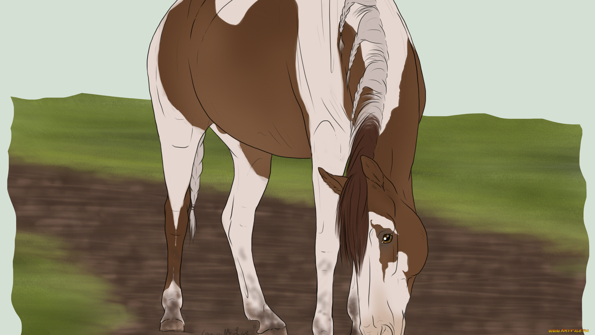 рисованные, животные, лошади, лошадь