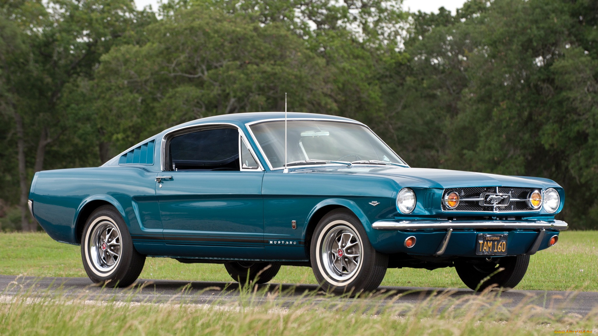 mustang, автомобили, ford, motor, company, сша