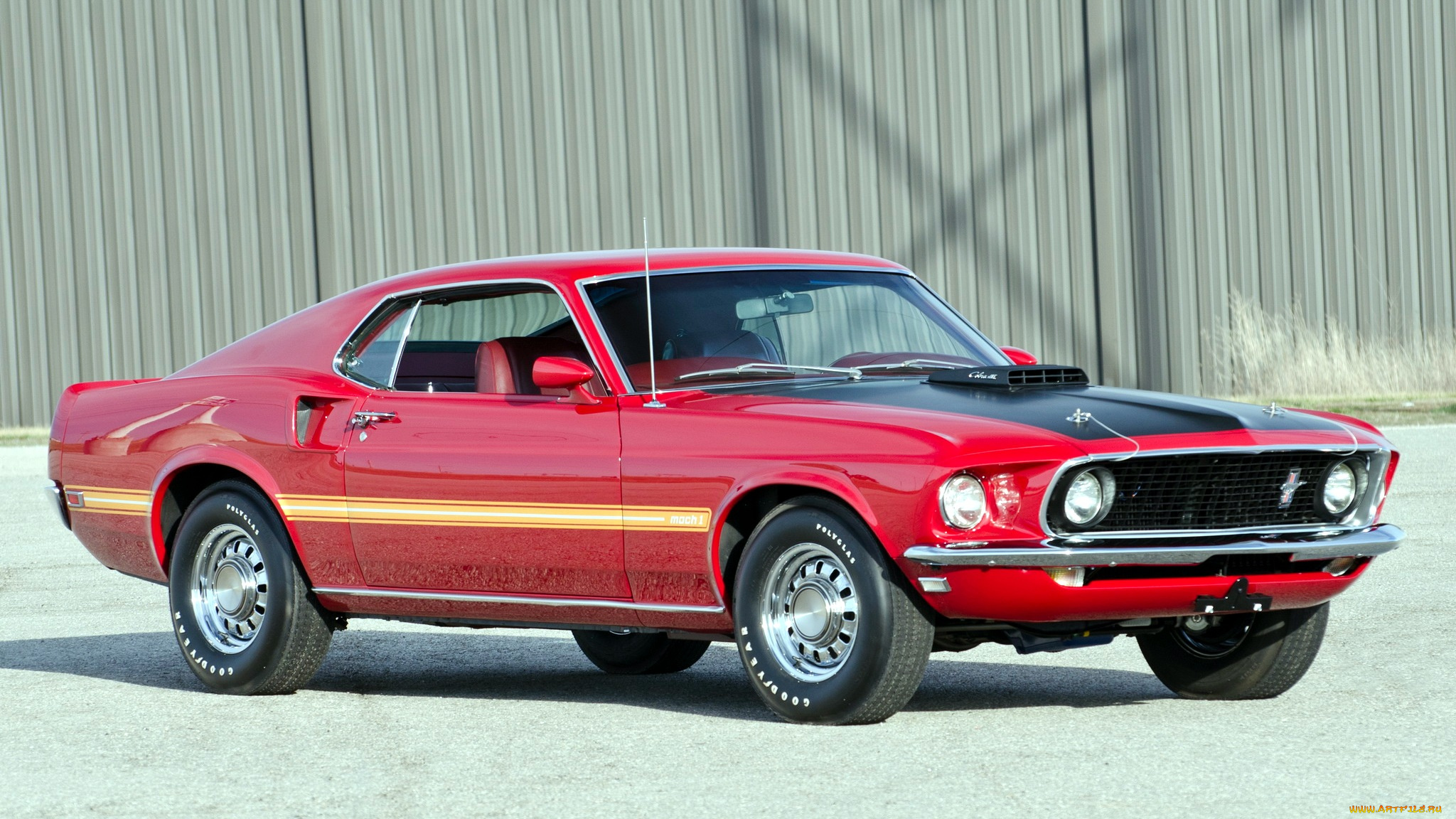 mustang, автомобили, сша, ford, motor, company