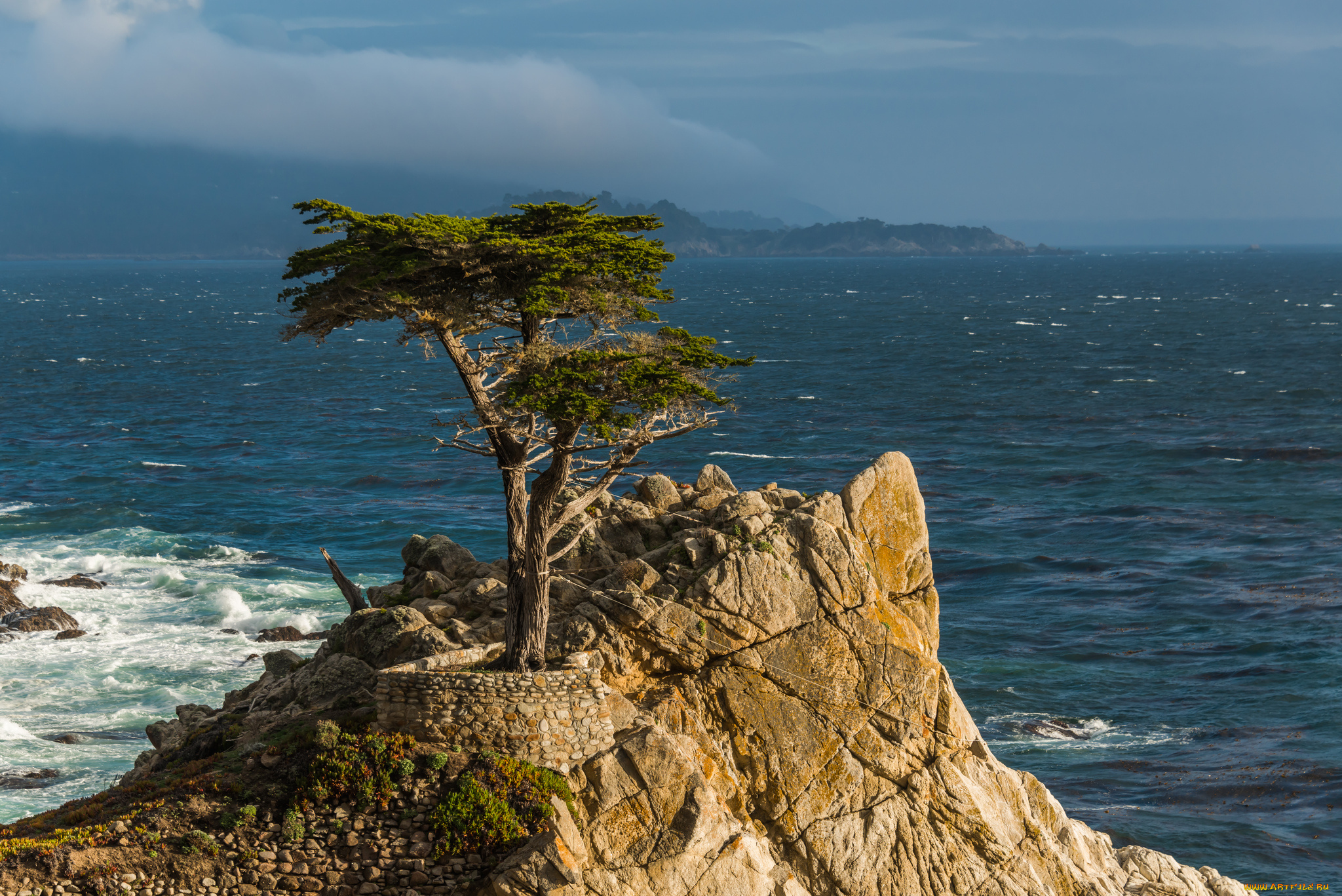 lone, cypress, monterey, peninsula, california, природа, деревья, pacific, монтерей, калифорния, кипарис, скала, тихий, океан