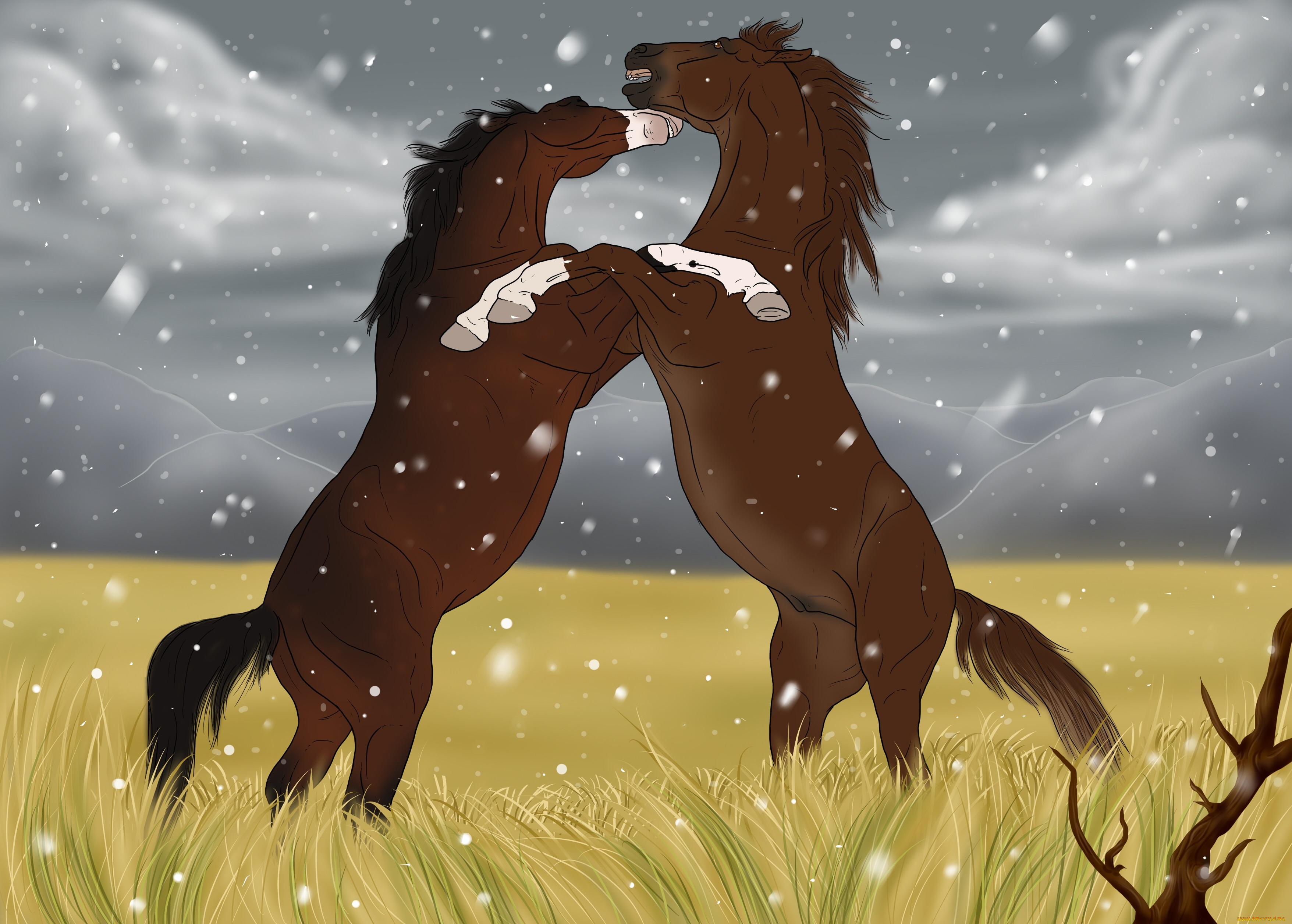 рисованные, животные, лошади