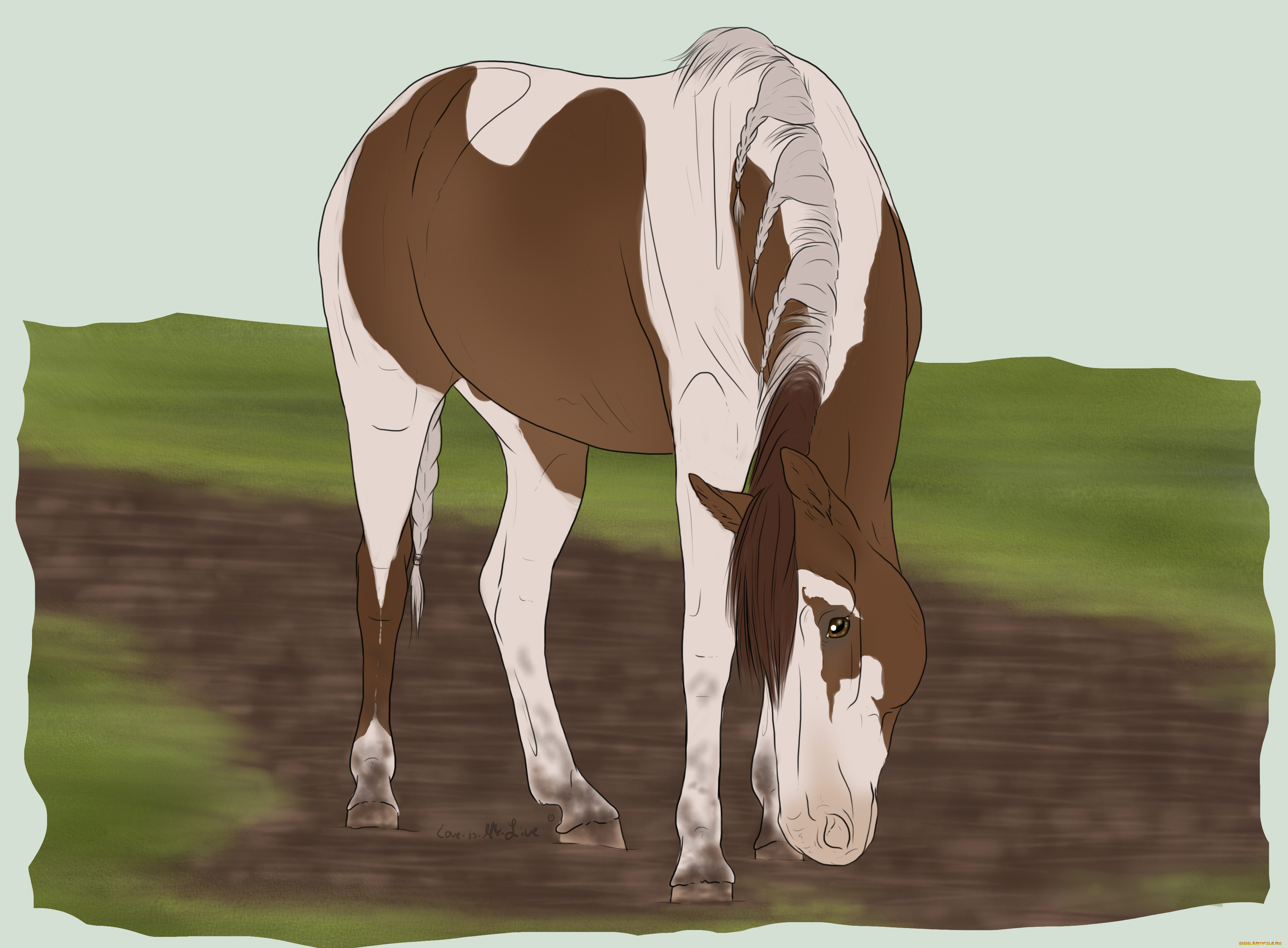 рисованные, животные, лошади, лошадь