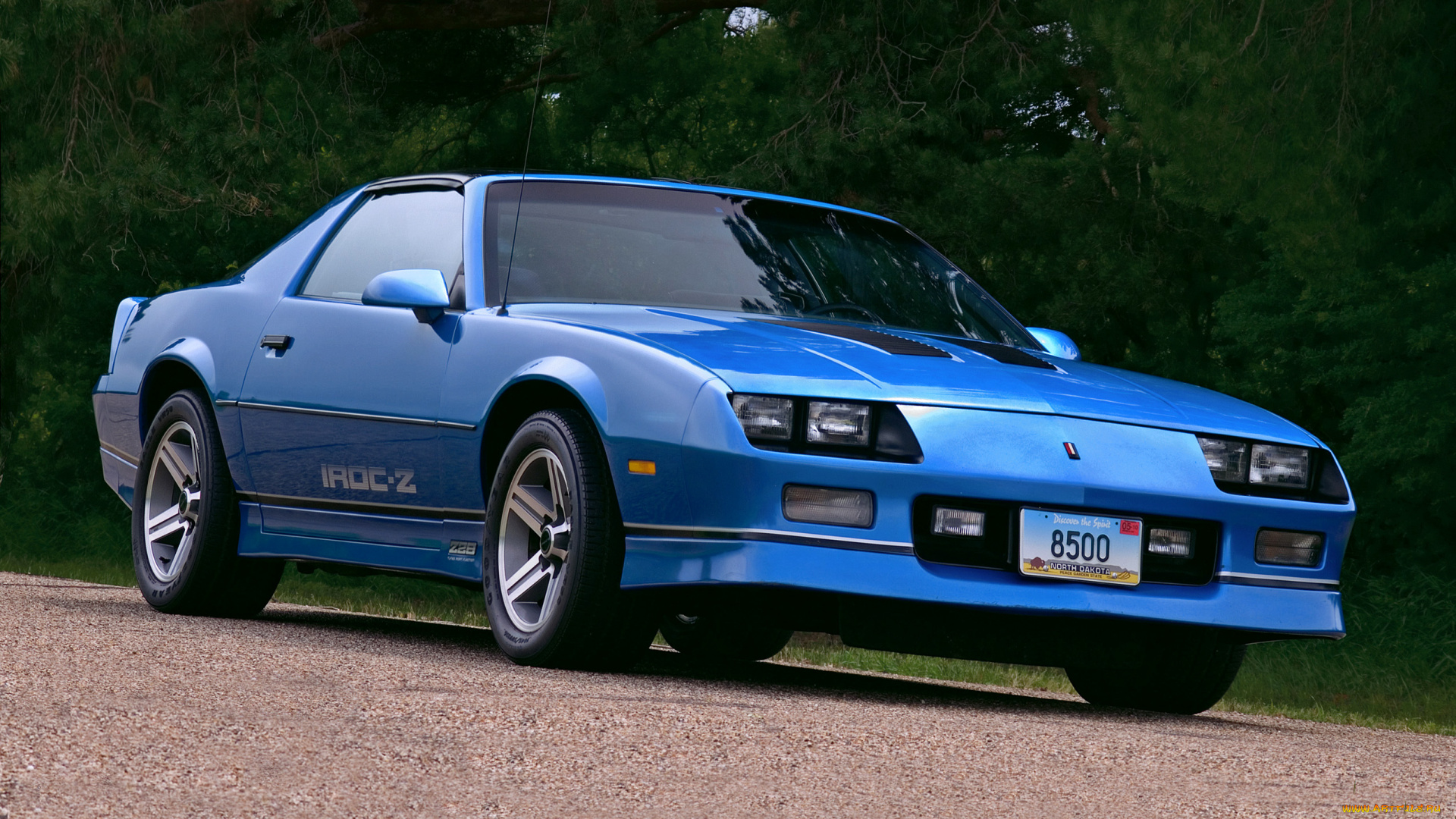 автомобили, camaro