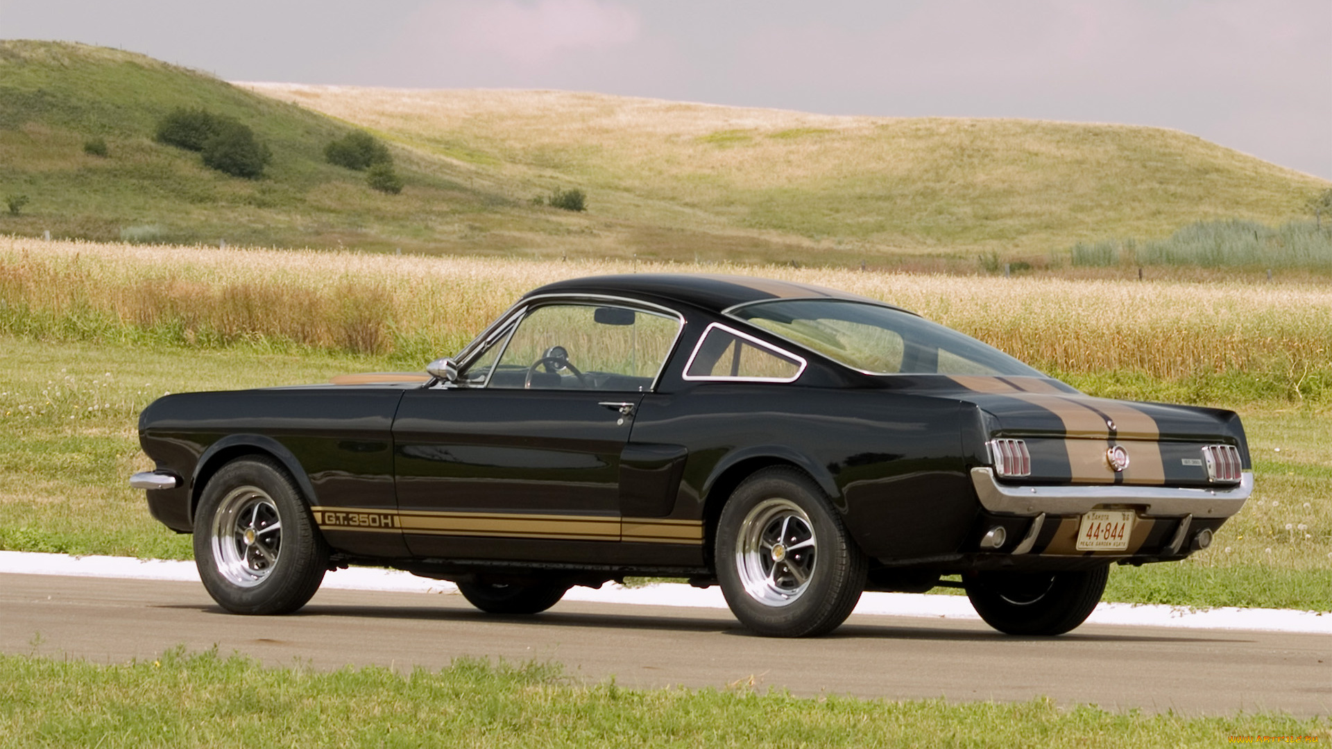 автомобили, mustang