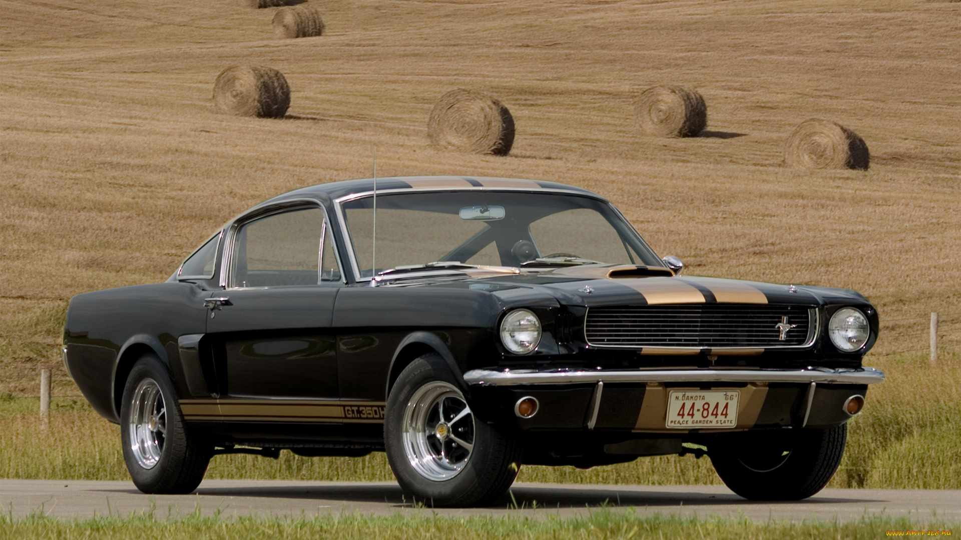 автомобили, mustang