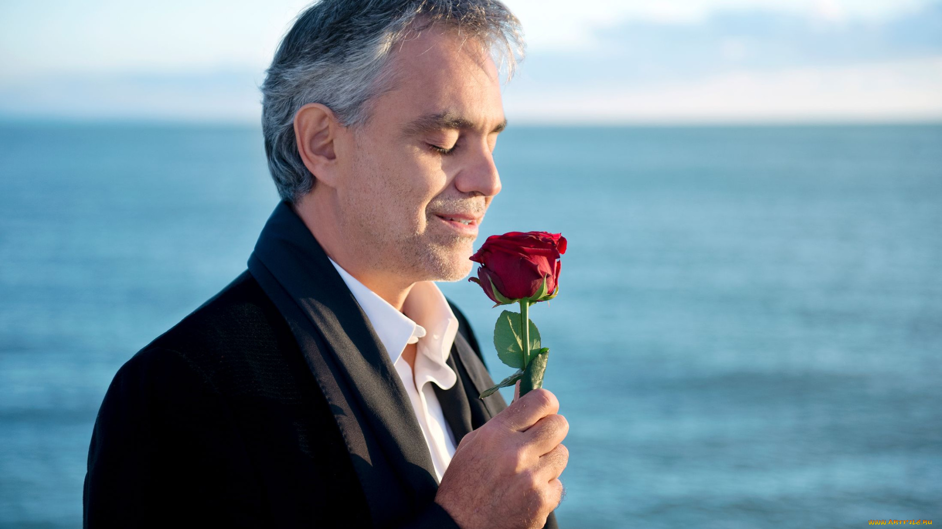 музыка, andrea, bocelli, роза