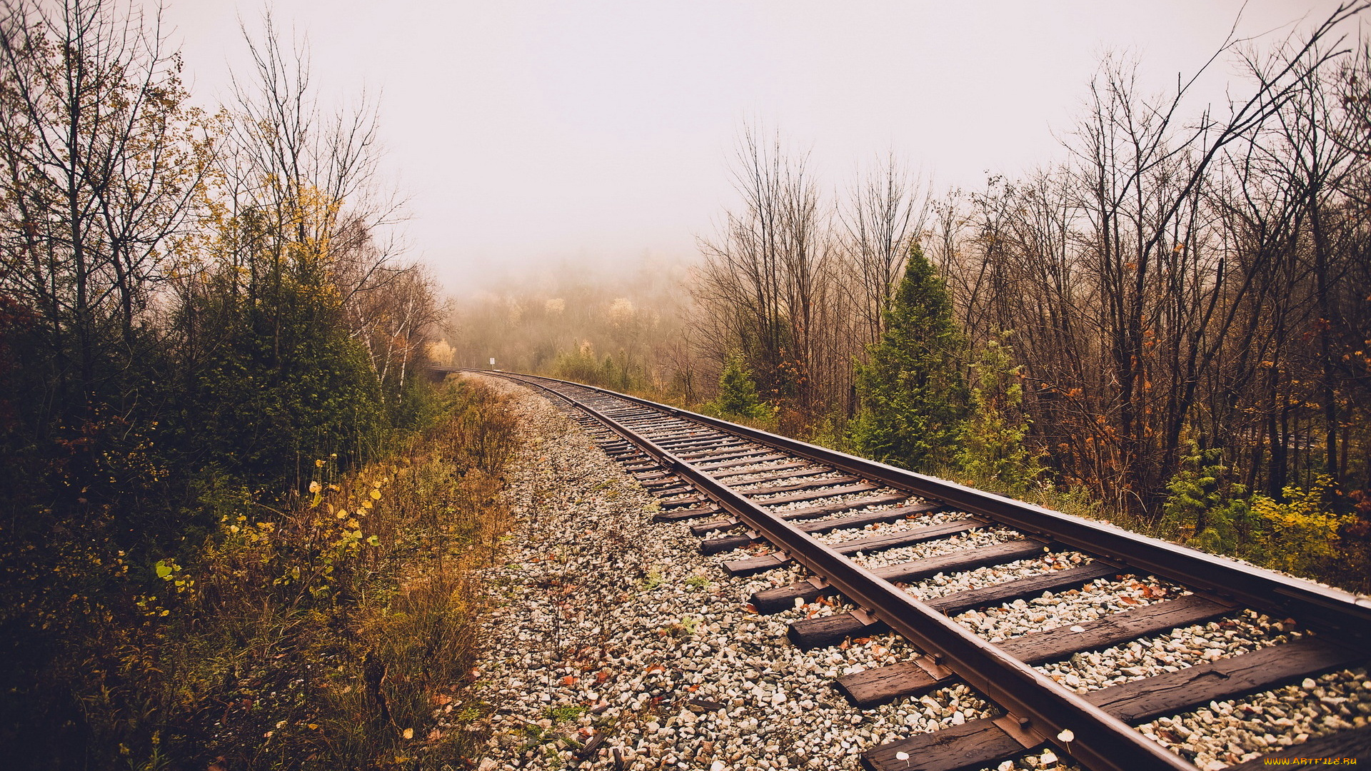 разное, транспортные, средства, и, магистрали, рельсы, кусты