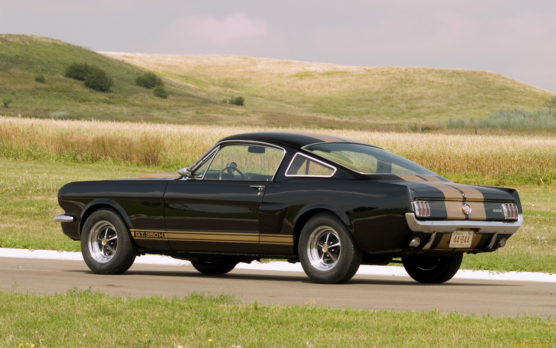 автомобили, mustang