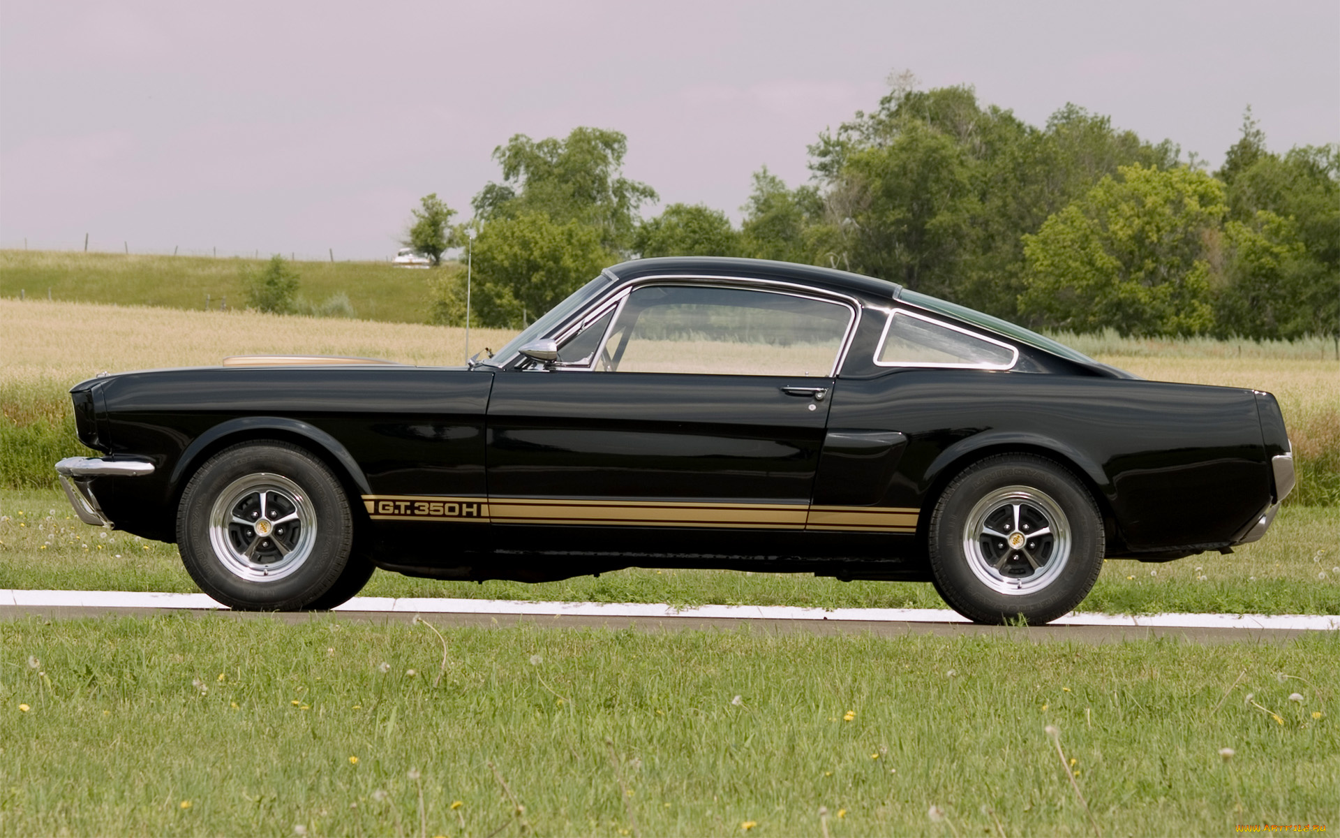 автомобили, mustang