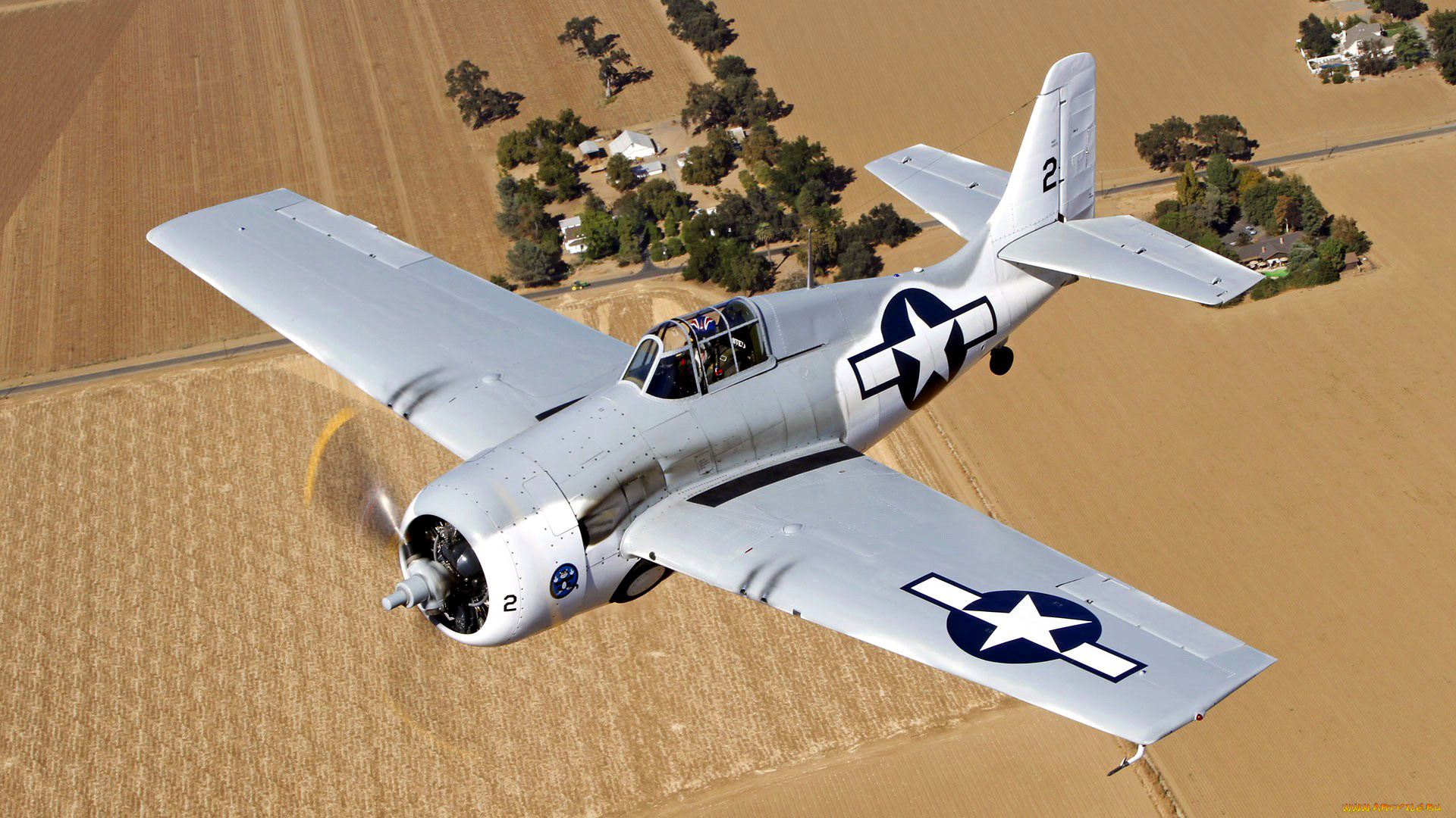 авиация, лёгкие, одномоторные, самолёты, поле, деревья, полет, самолет, ландшафт