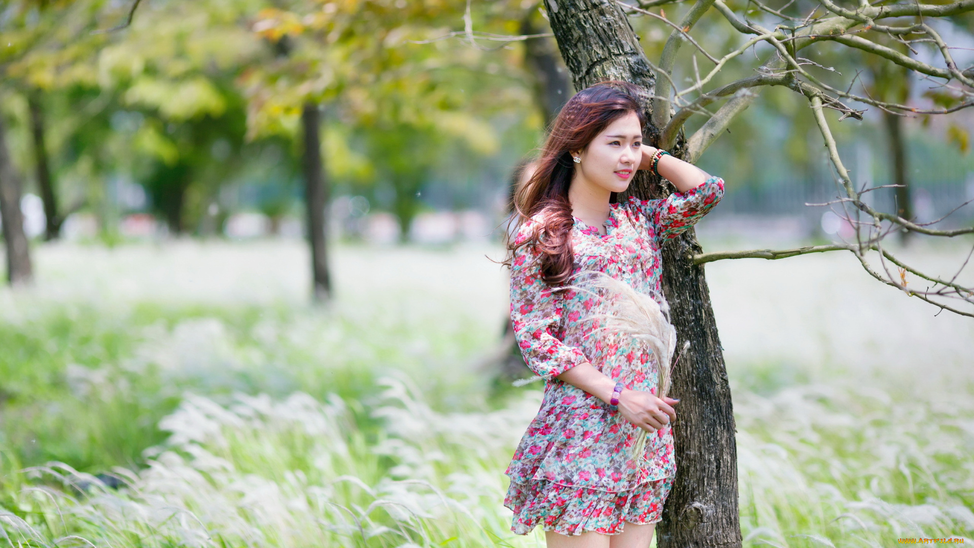 девушки, -unsort, , азиатки, девушка, азиатка, природа