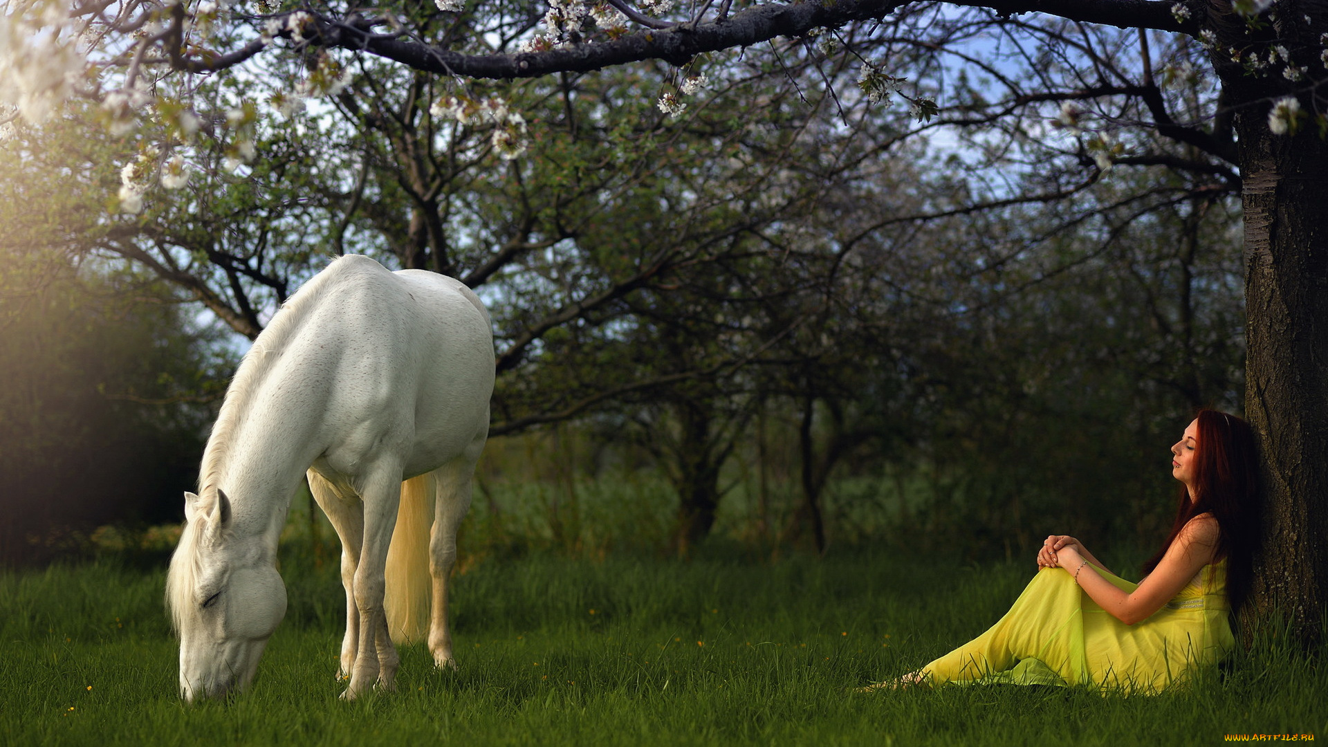 девушки, -unsort, , брюнетки, , шатенки, конь, сад, девушка