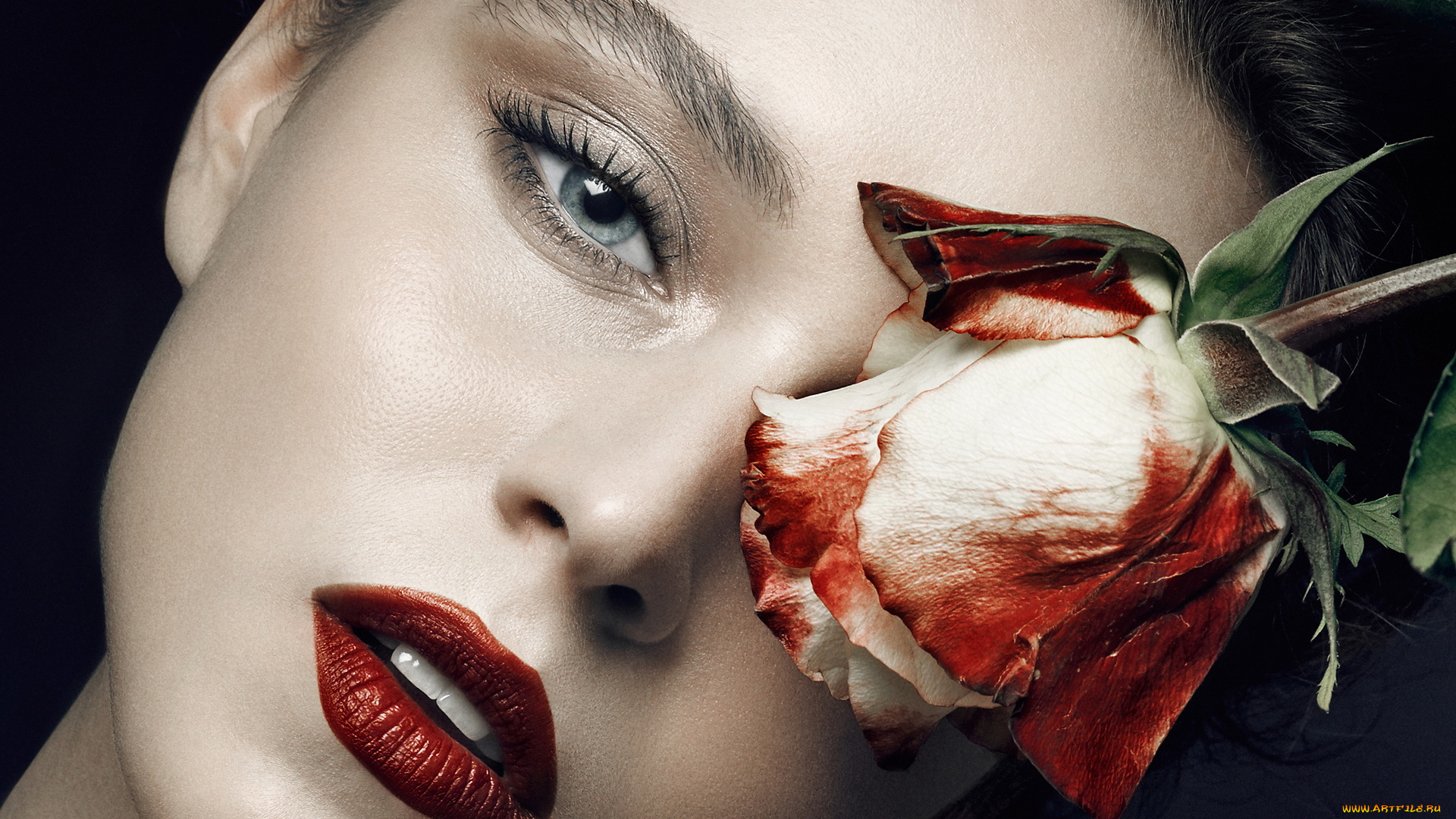 девушки, -unsort, , лица, , портреты, девушка, взгляд, портрет, роза