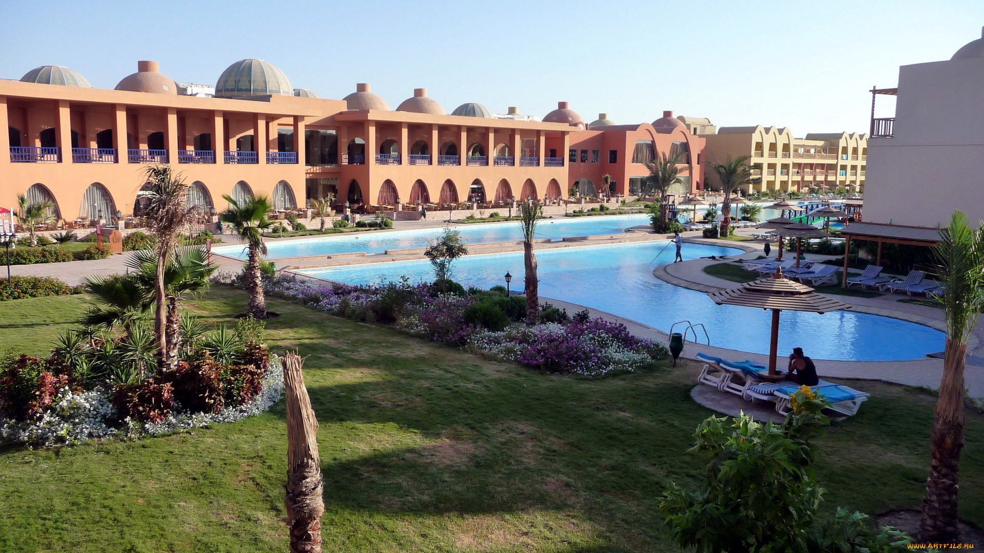 города, -, другое, пальмы, бассейн, клумбы