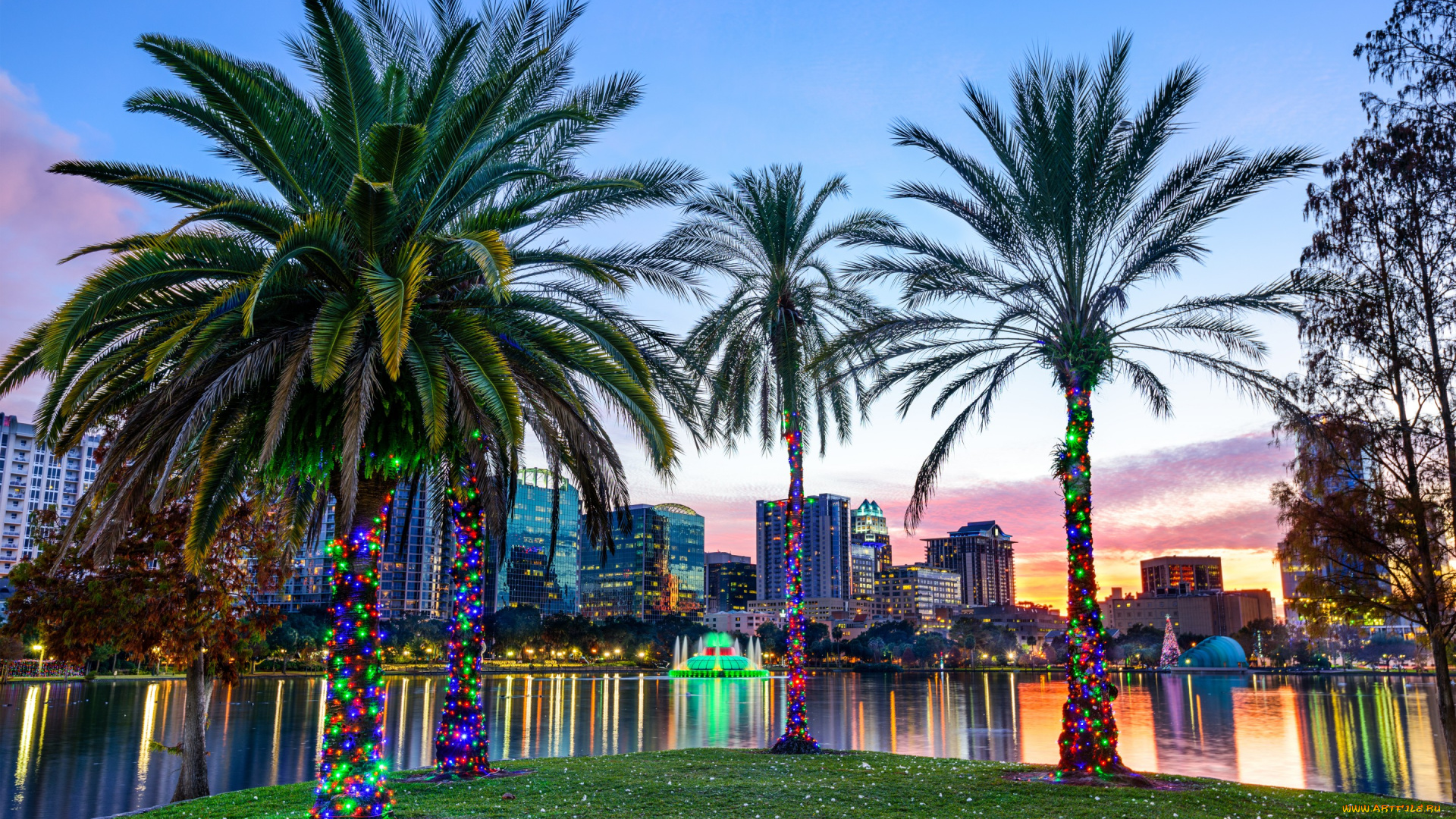 города, -, улицы, , площади, , набережные, иллюминация, пальмы, озеро, парк, эола, флорида, орландо, florida, orlando, lake, eola, park