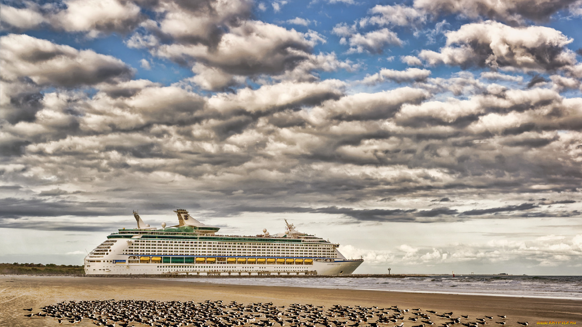 корабли, лайнеры, яхта, море, чайки, птицы, небо, облака