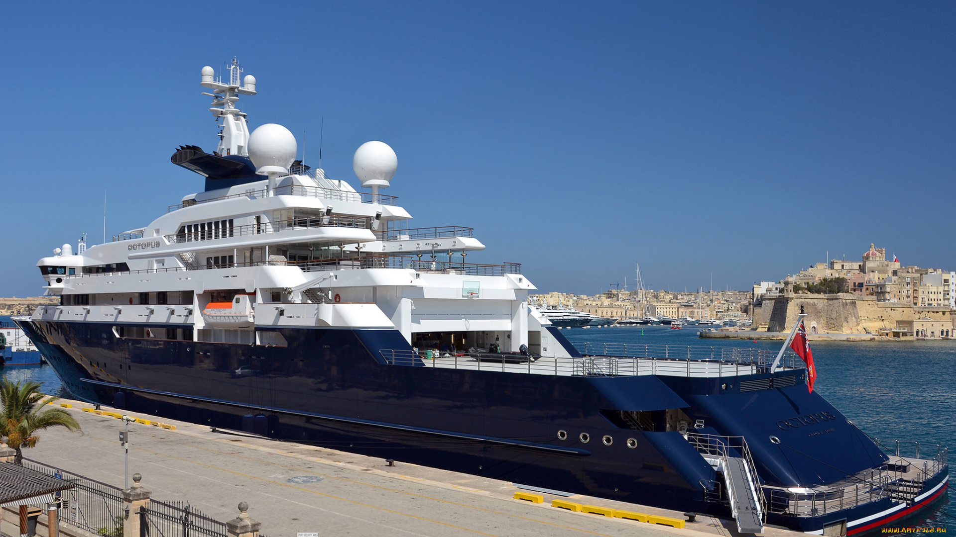 octopus, корабли, Яхты, яхта