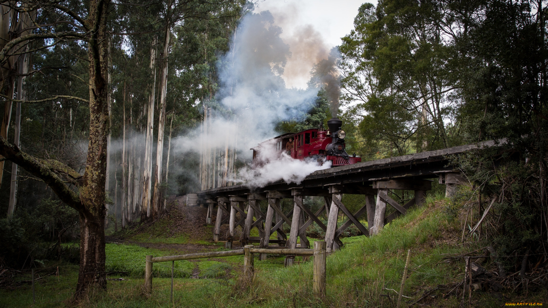 техника, паровозы, паровоз, рельсы, дорога, железная