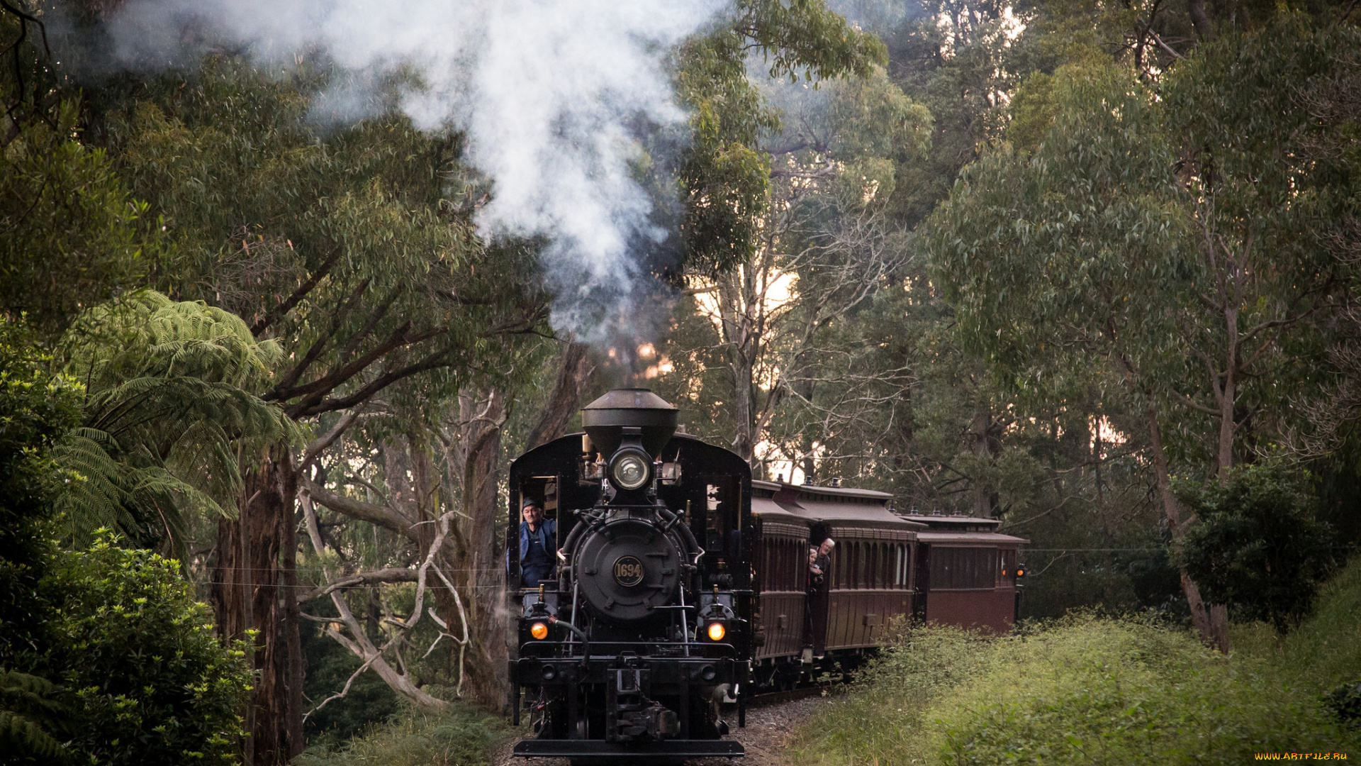 техника, паровозы, железная, дорога, рельсы, паровоз