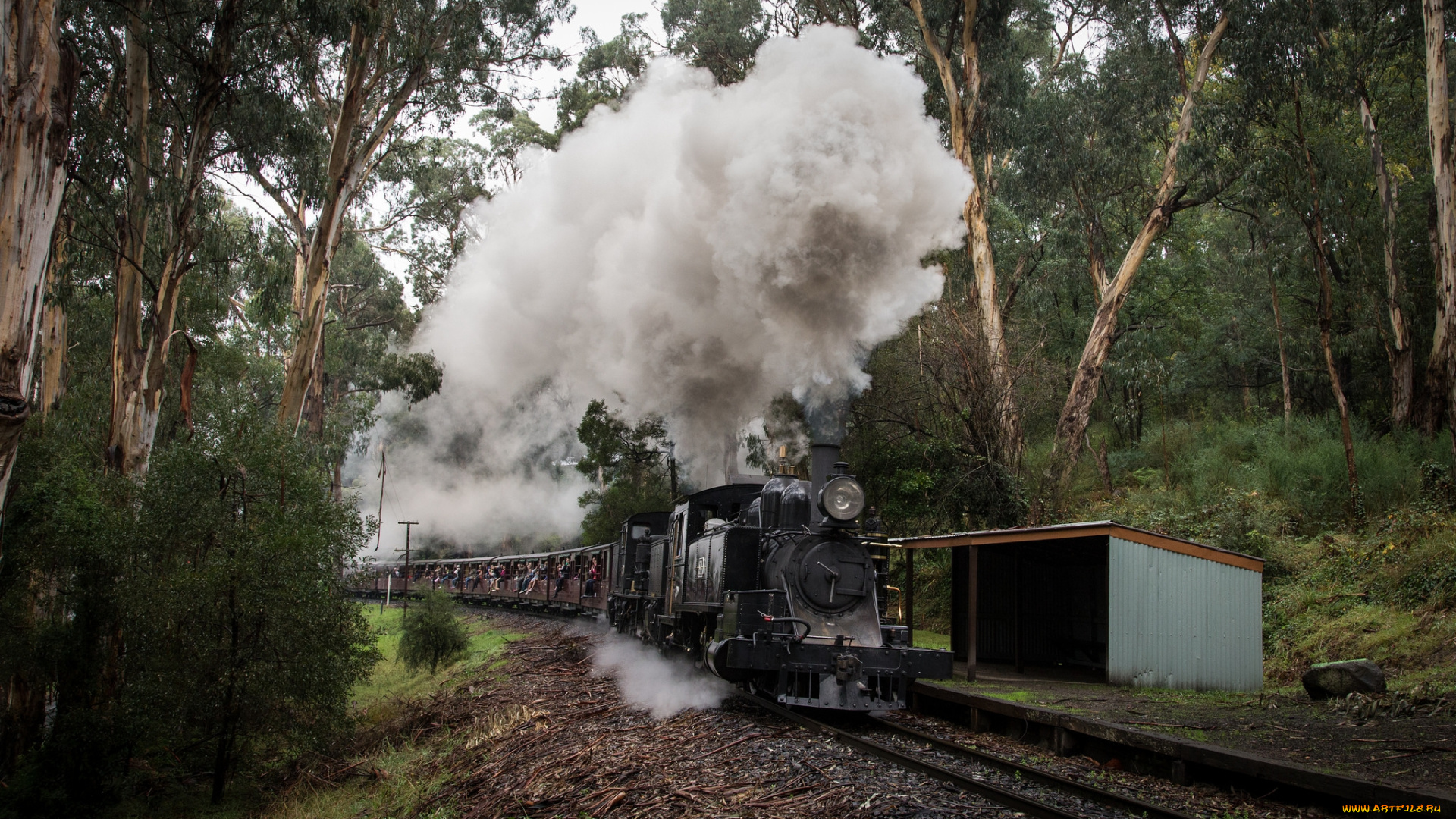 техника, паровозы, железная, дорога, рельсы, паровоз
