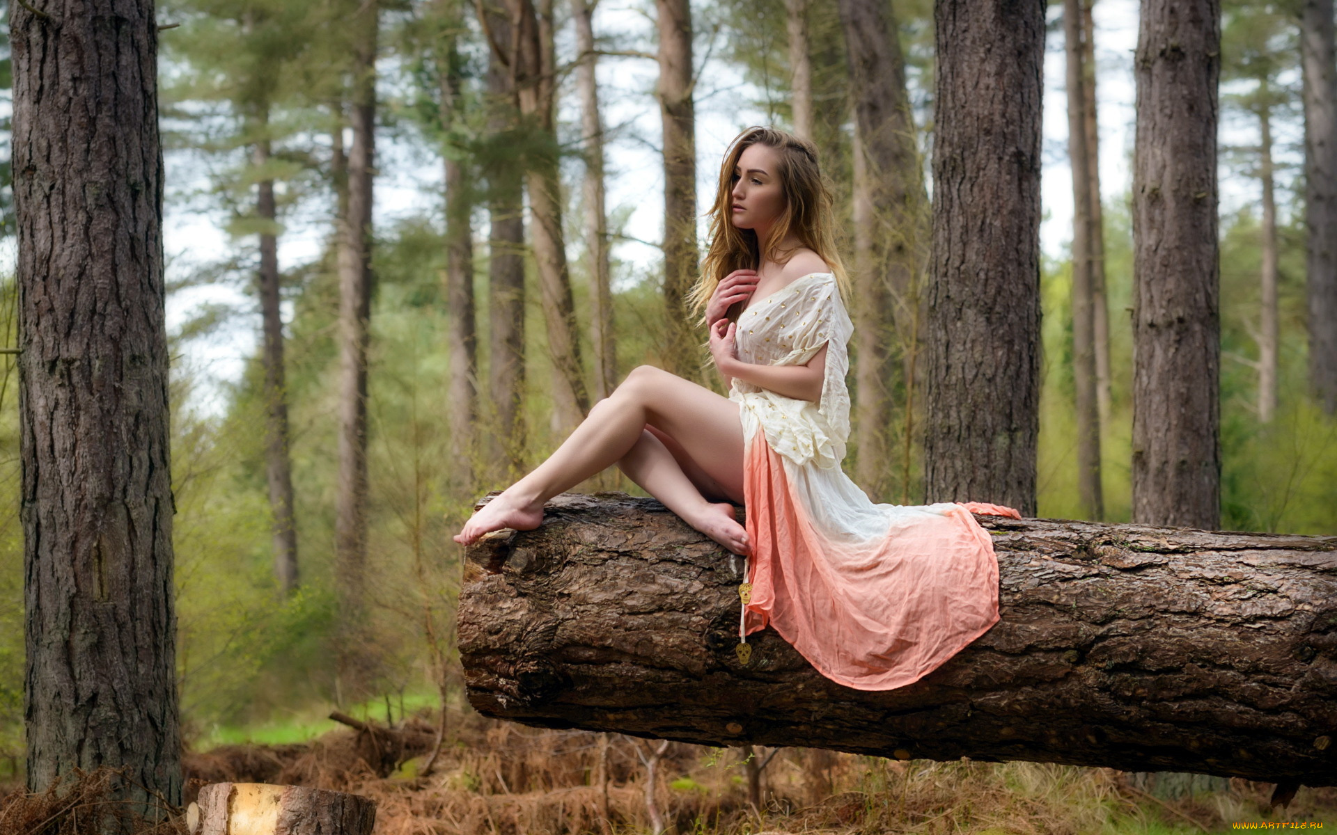 девушки, -unsort, , брюнетки, , шатенки, лес, деревья, девушка