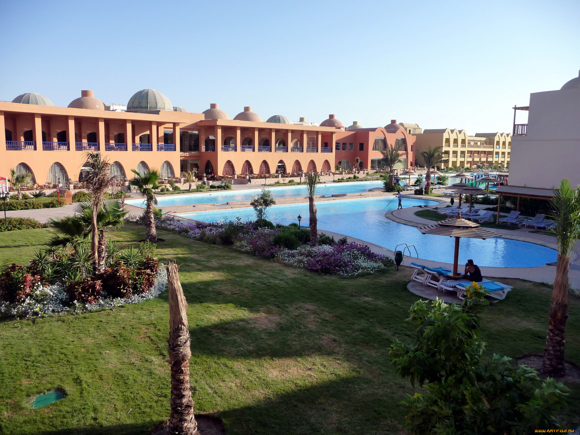 города, -, другое, пальмы, бассейн, клумбы