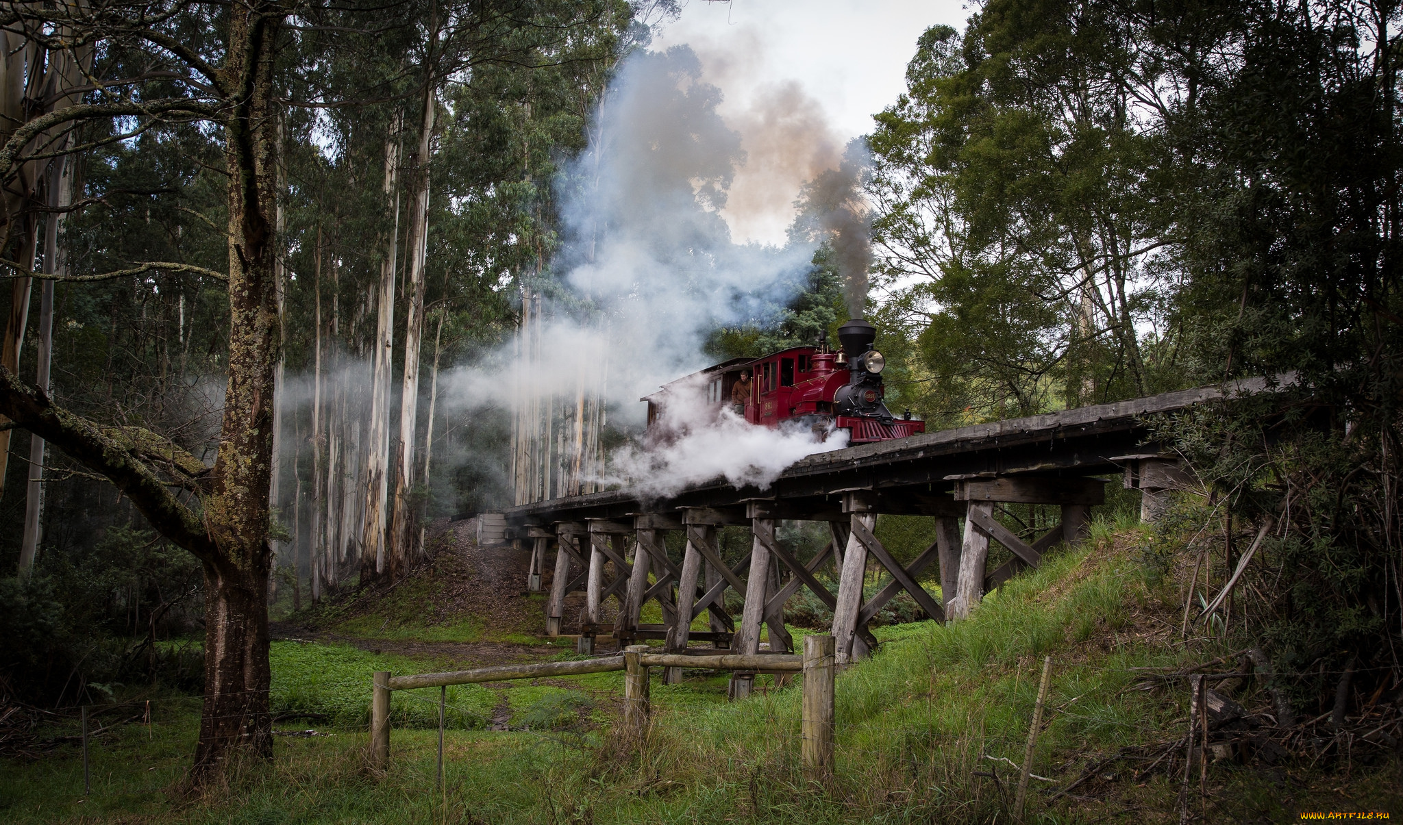 техника, паровозы, паровоз, рельсы, дорога, железная