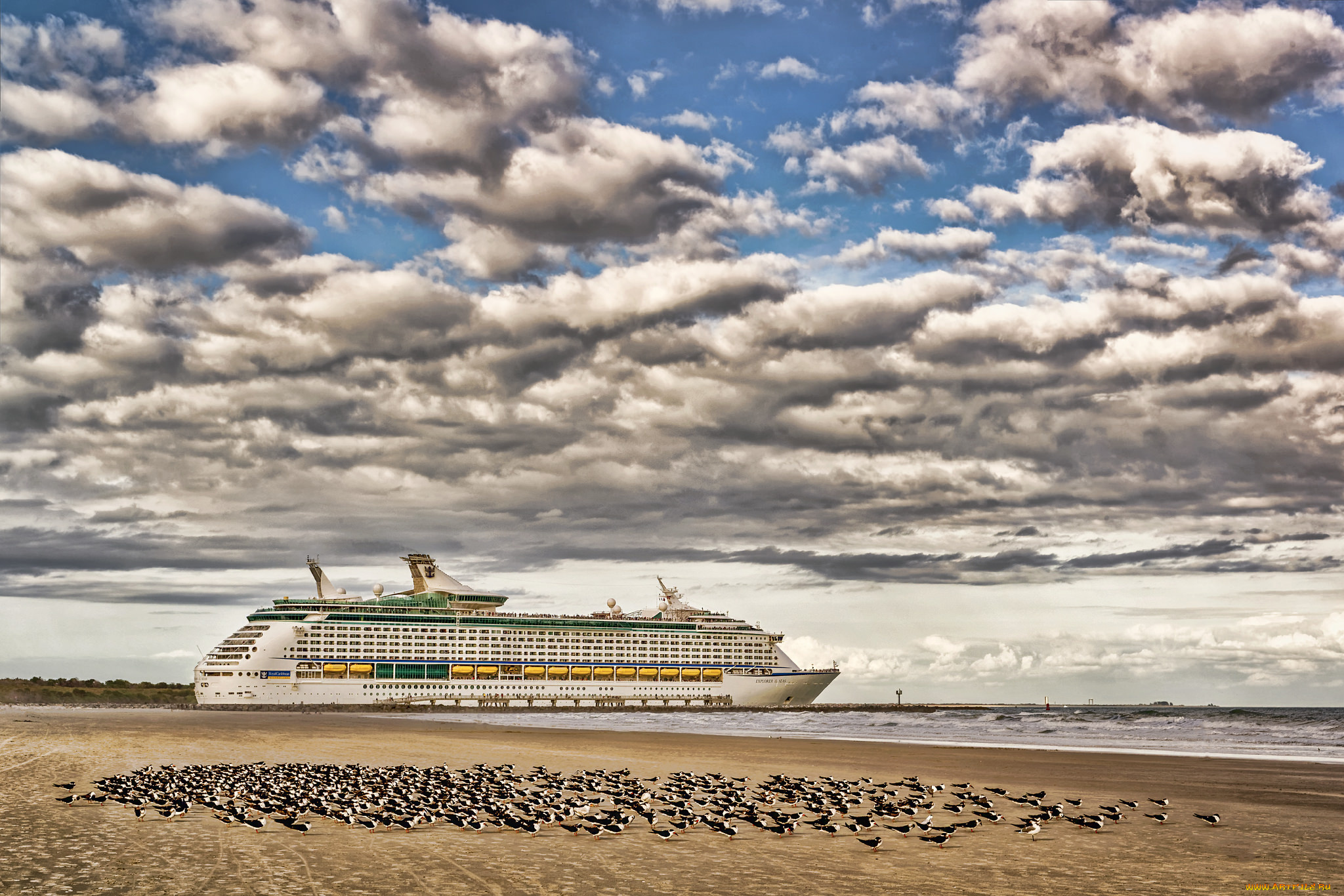 корабли, лайнеры, яхта, море, чайки, птицы, небо, облака